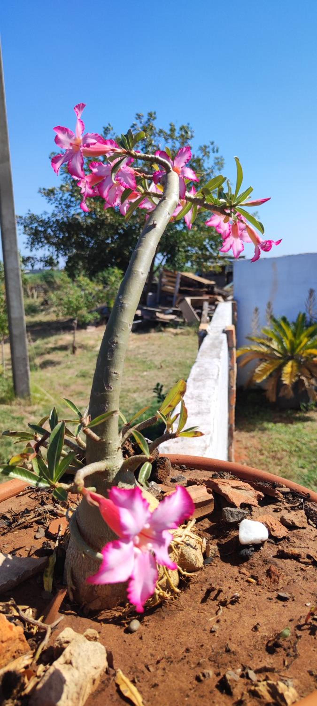 Recanto Pousada Elshaday sede