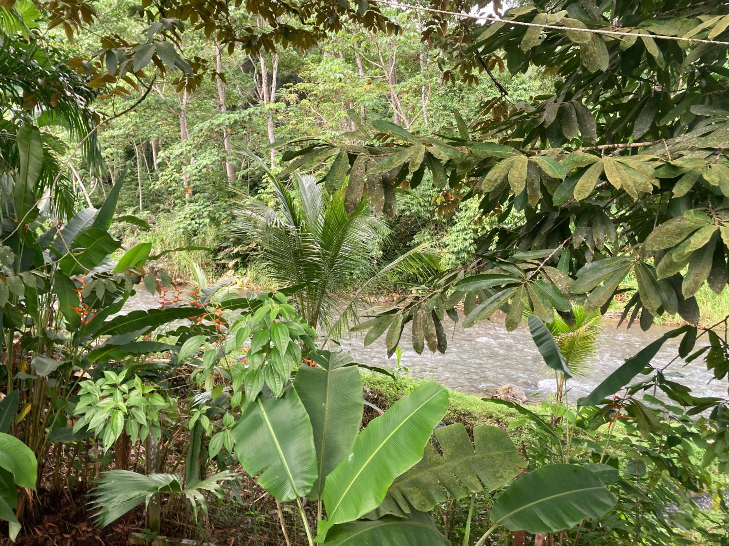 YEJOS Jungle Lodge