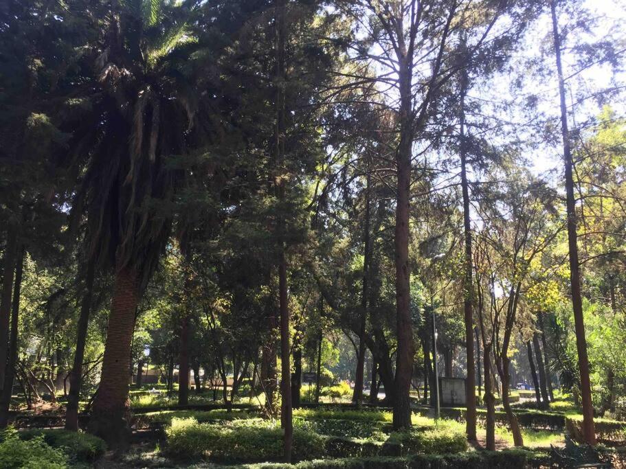 Departamento Parque Hundido photo 2