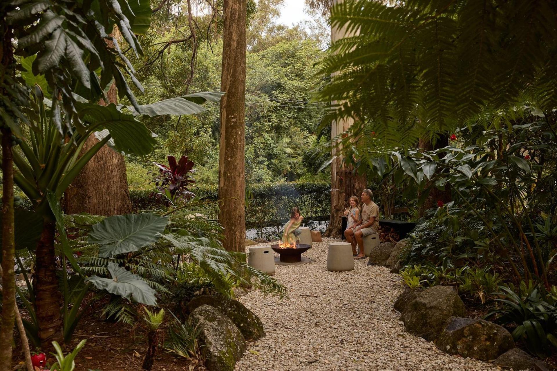 Oasis