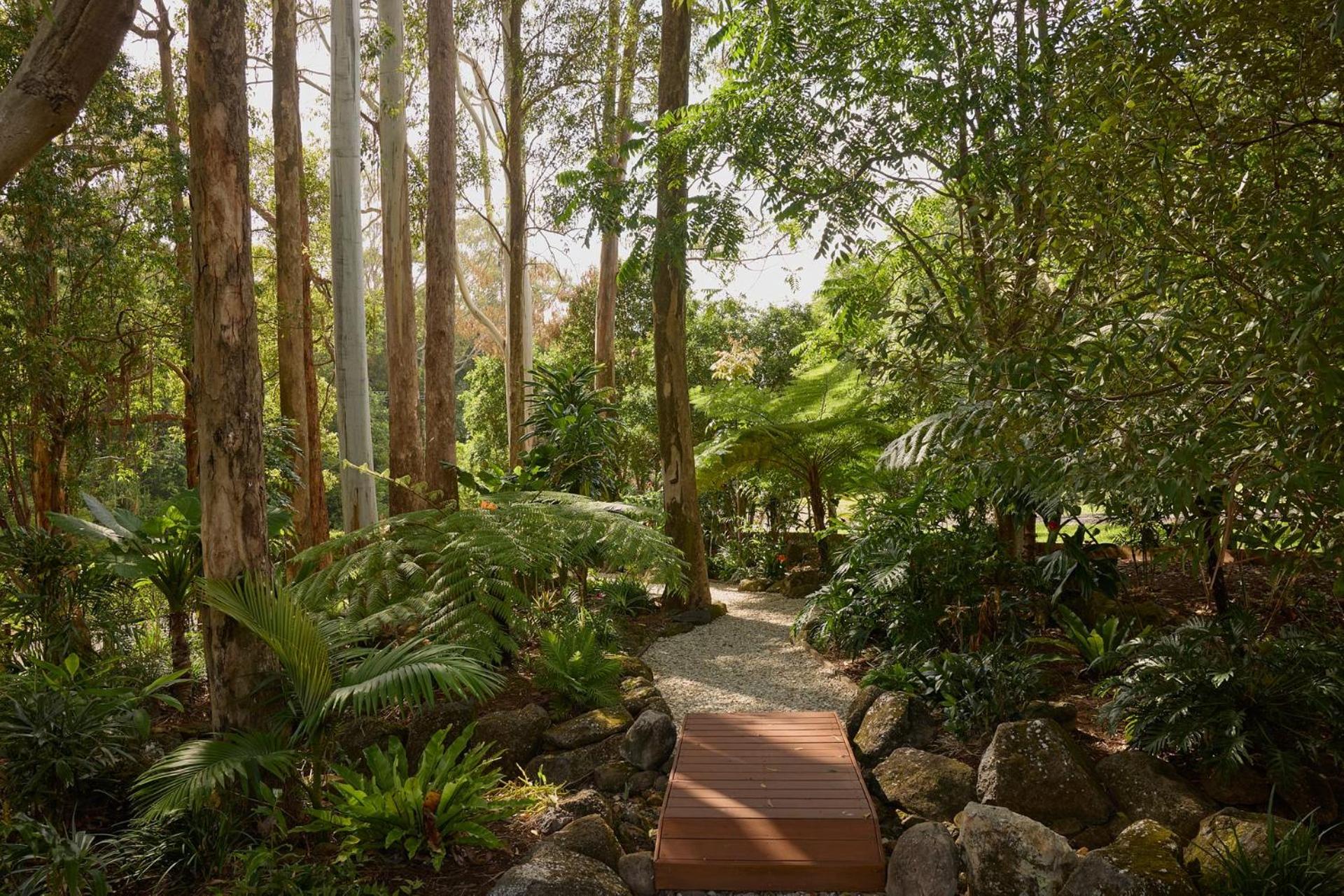 Oasis