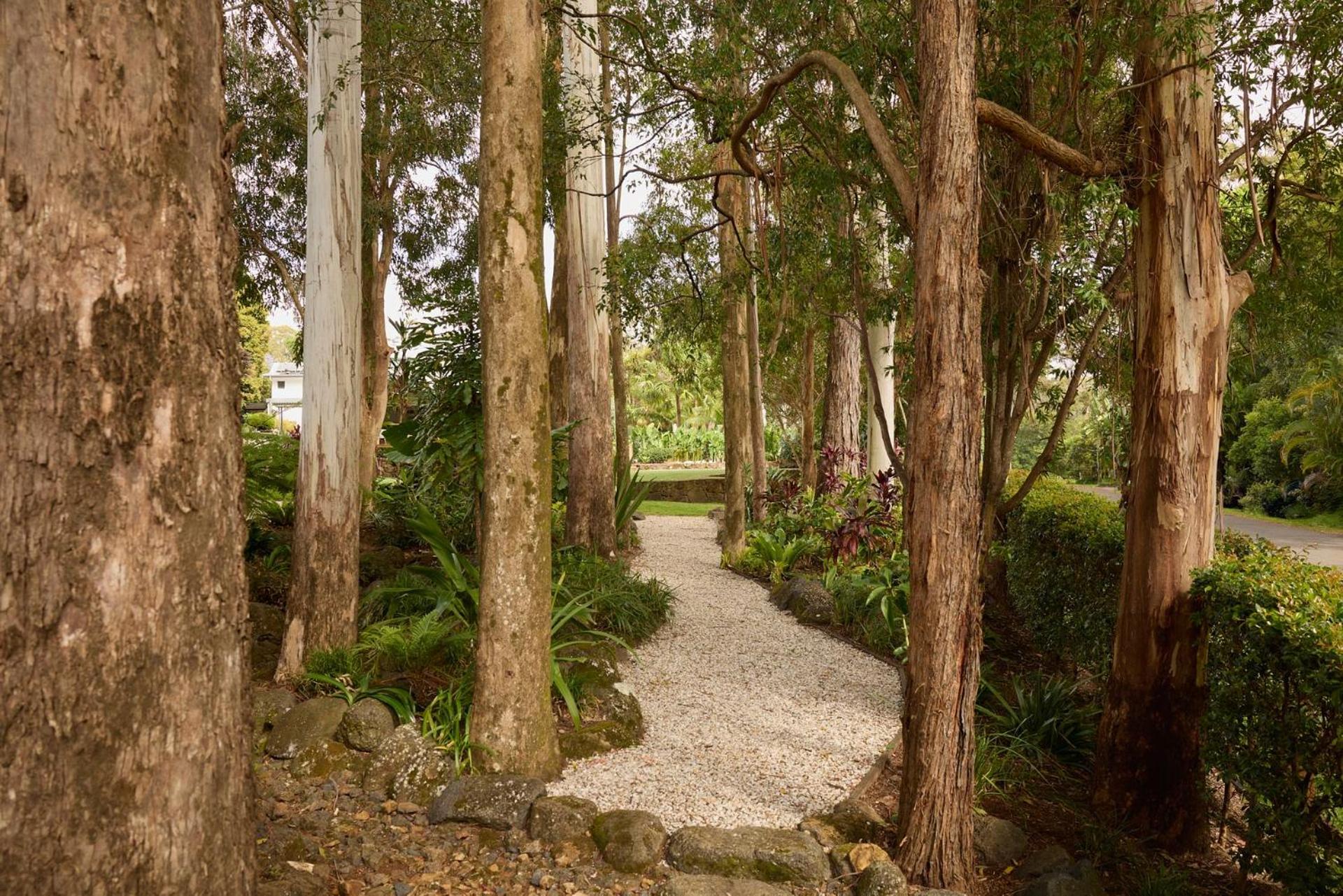 Oasis