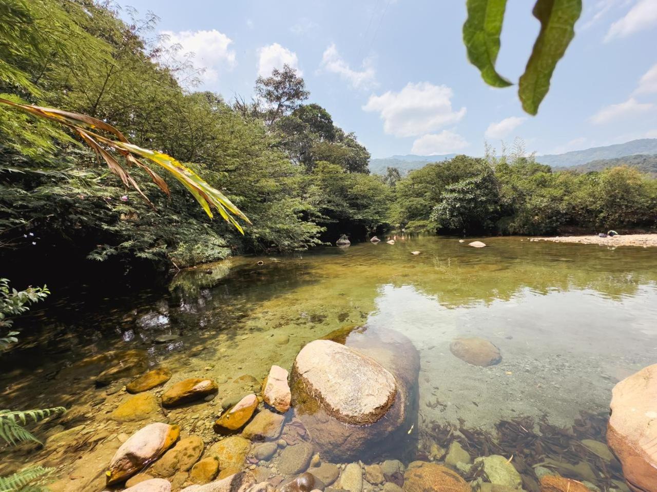 Cabañas Riovivo