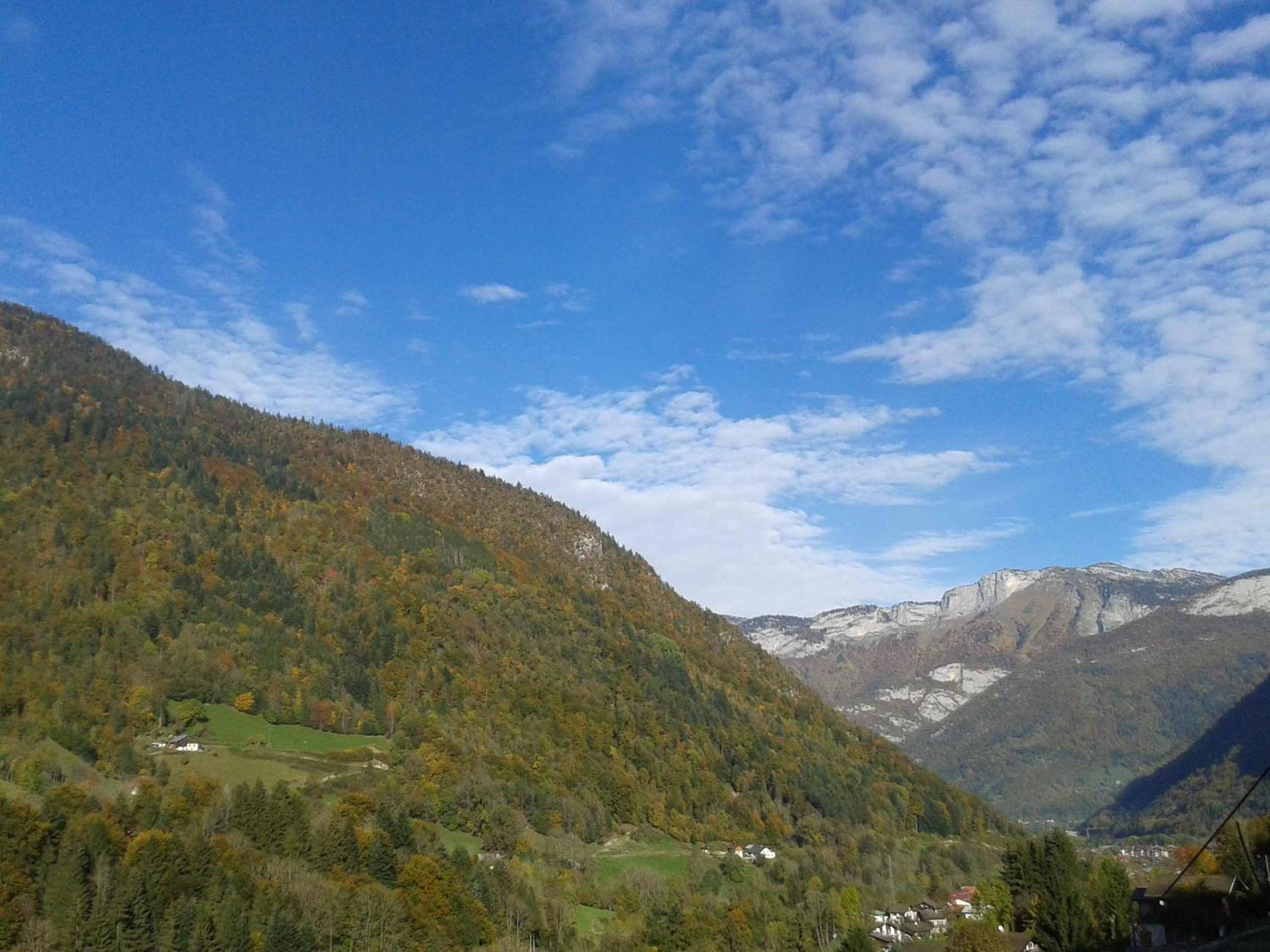 Photo 42