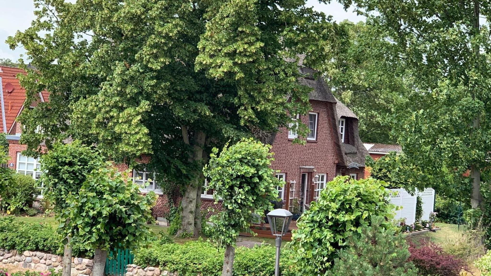 Haus-Halli-Een-Whg-Suennkieker