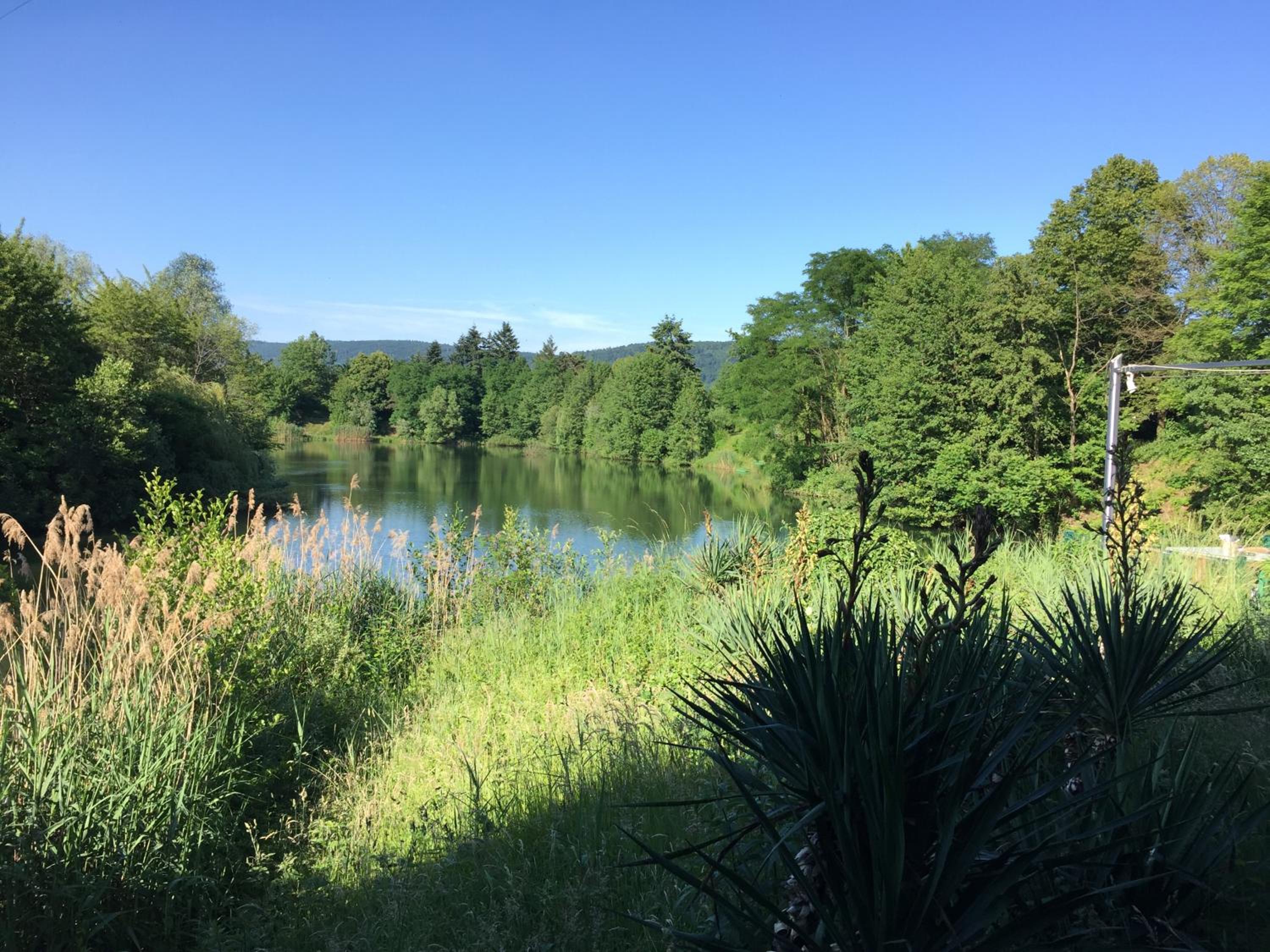 Guesthouse Lichtenau