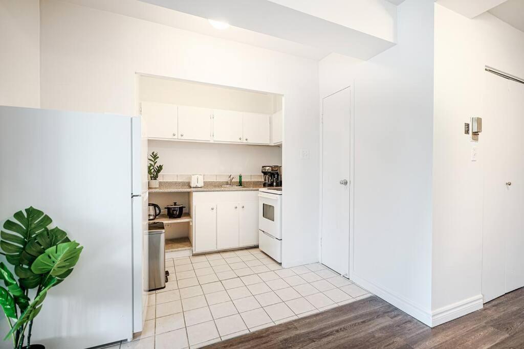 Luxe Élevé Montréal
