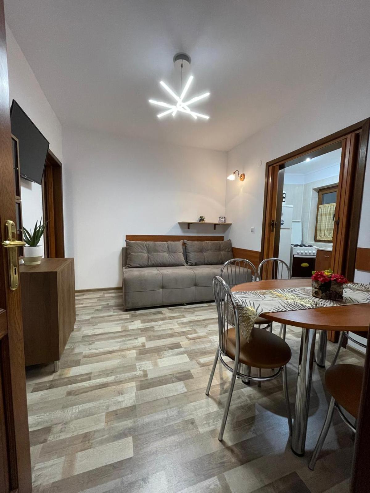 Casa Iancu view 4