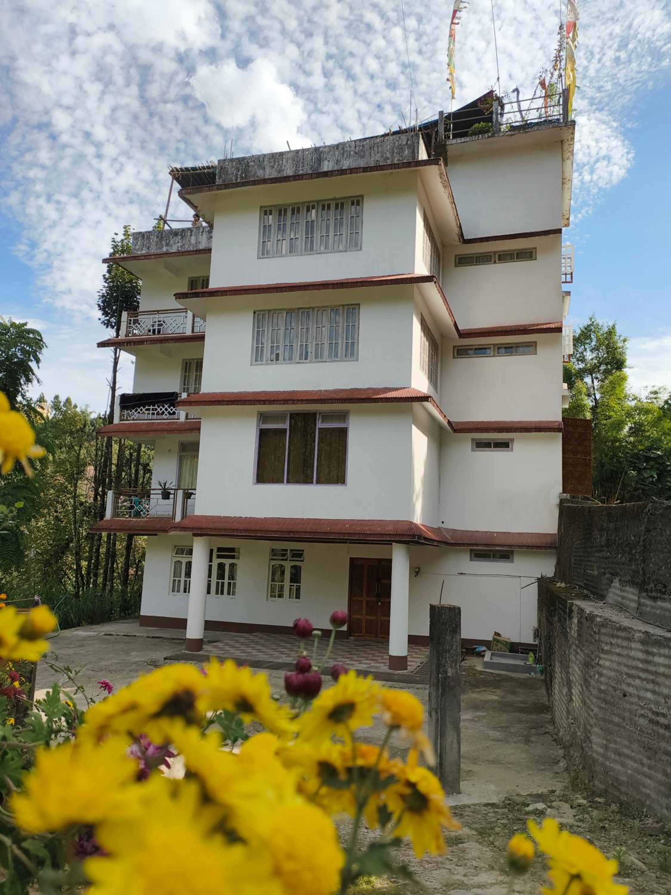 Tenzing Hillary Pinasha Homestay view 2