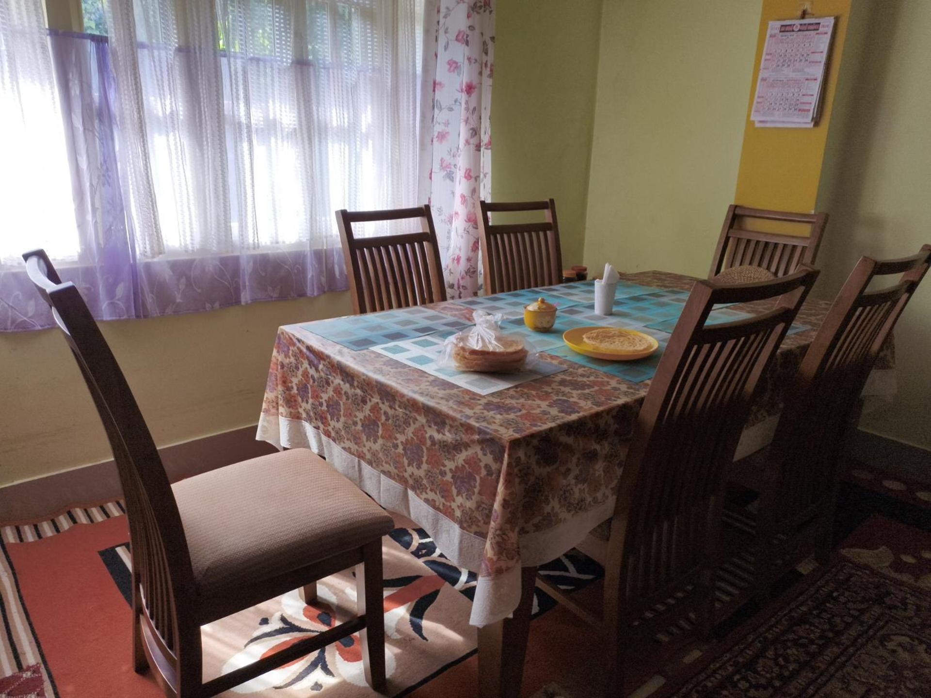 Tenzing Hillary Pinasha Homestay view 4