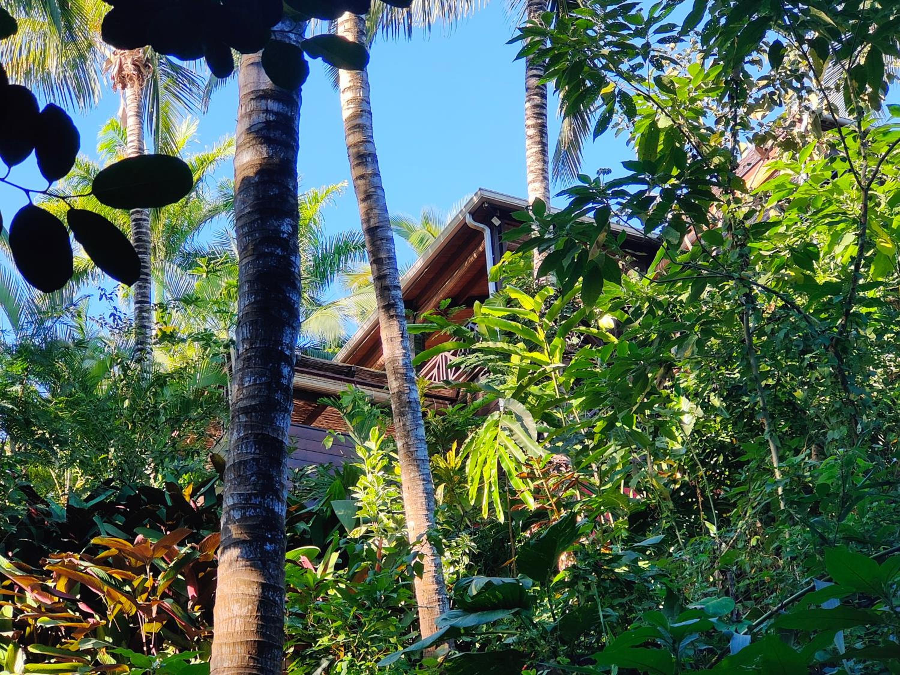OHANA Jungle Lodges