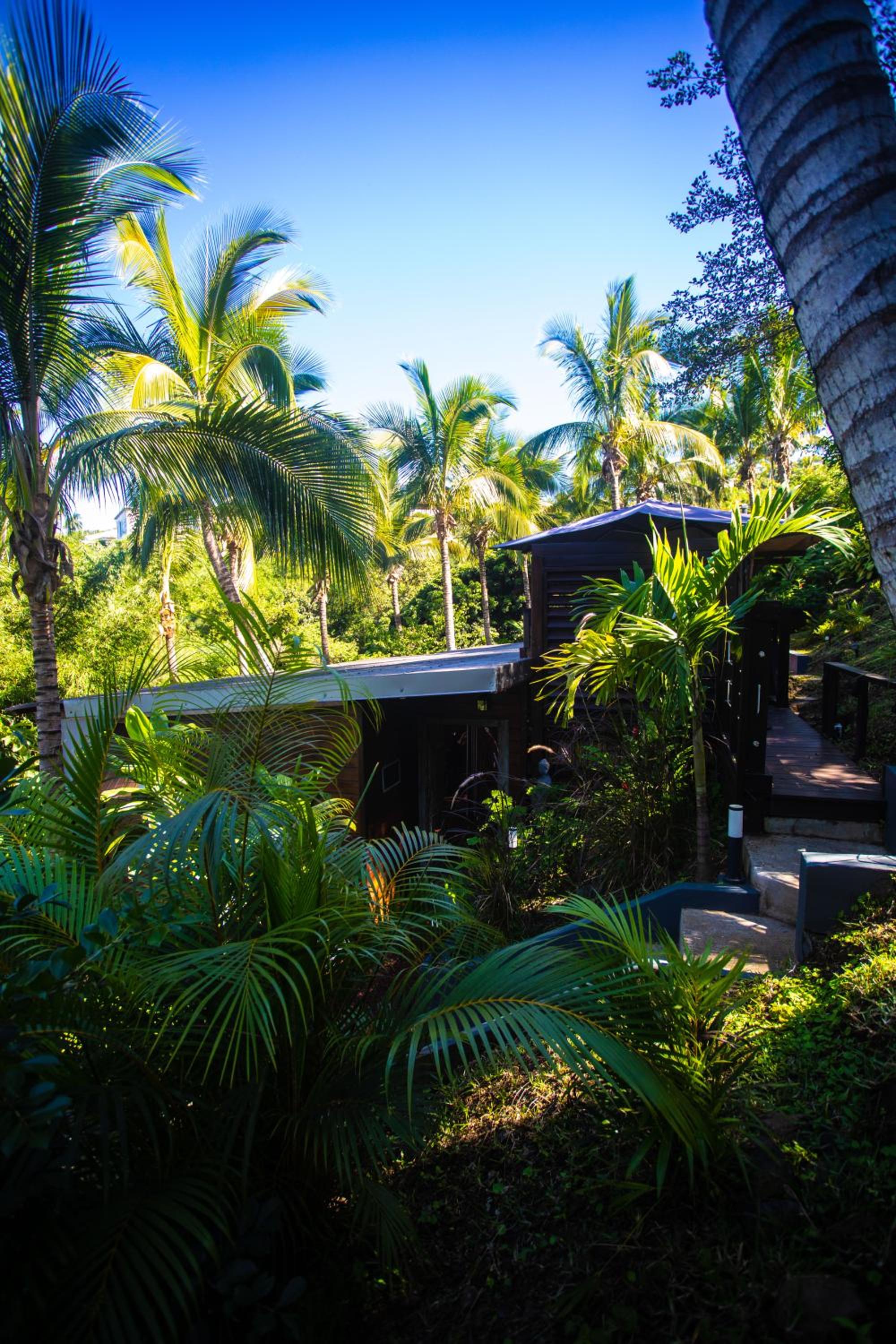 OHANA Jungle Lodges