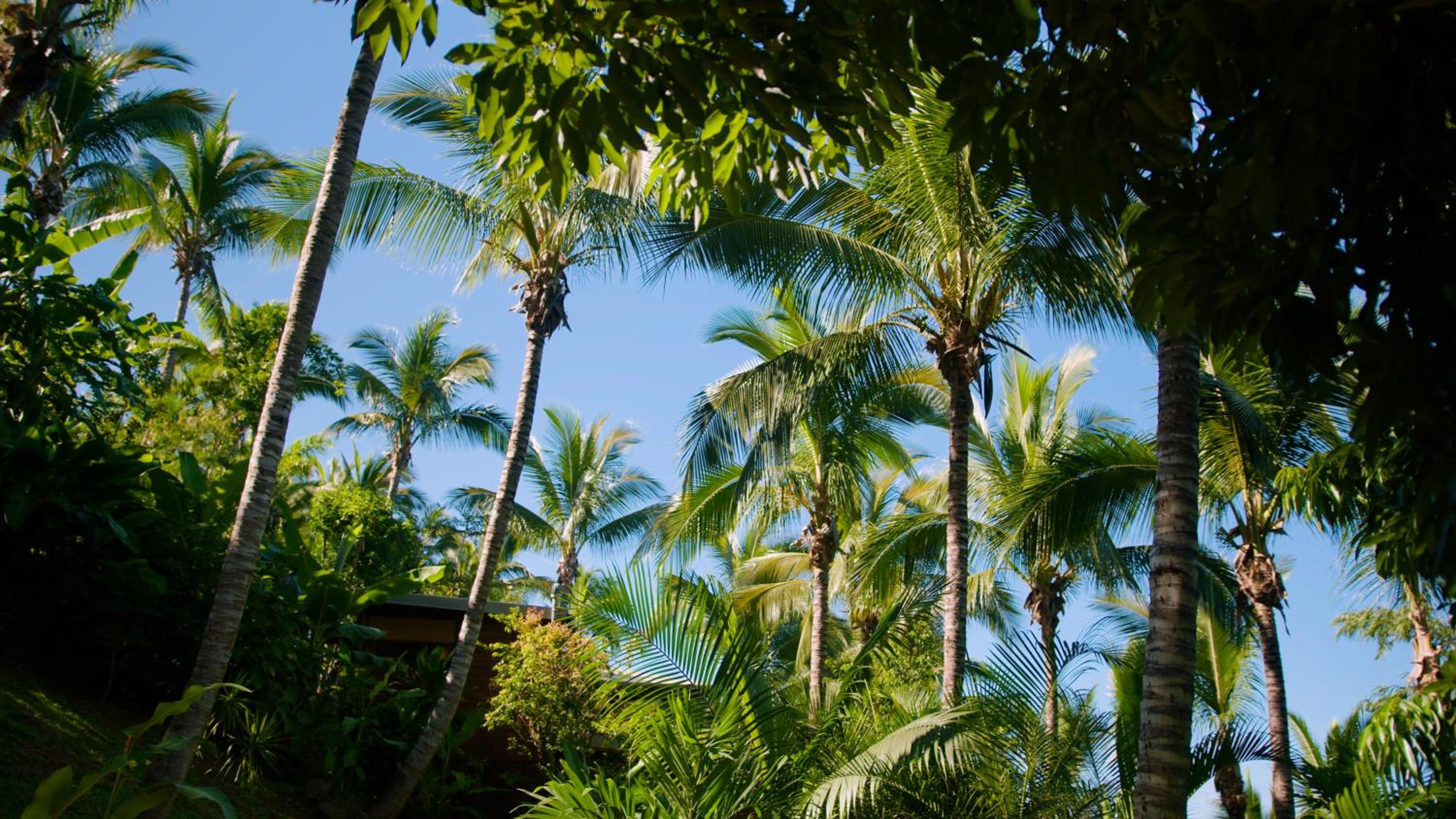 OHANA Jungle Lodges