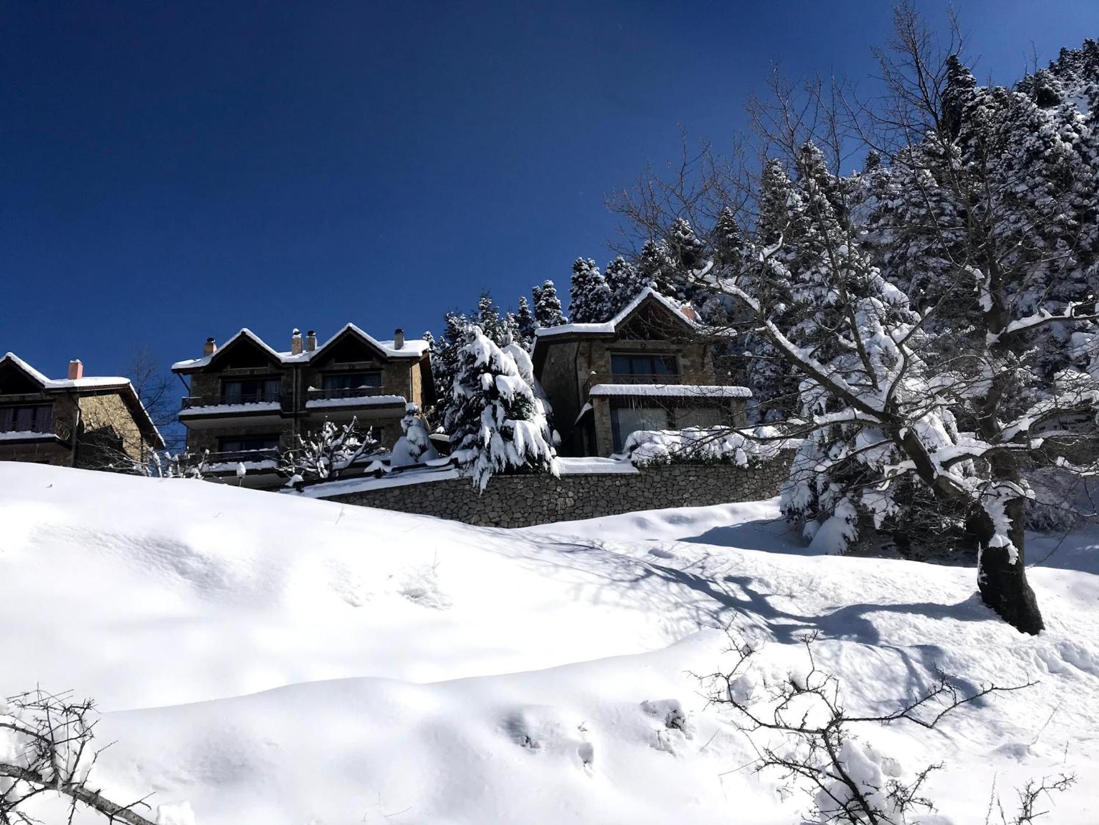 Pinecone Lodge, Eptalofos Wellness Garden Chalet