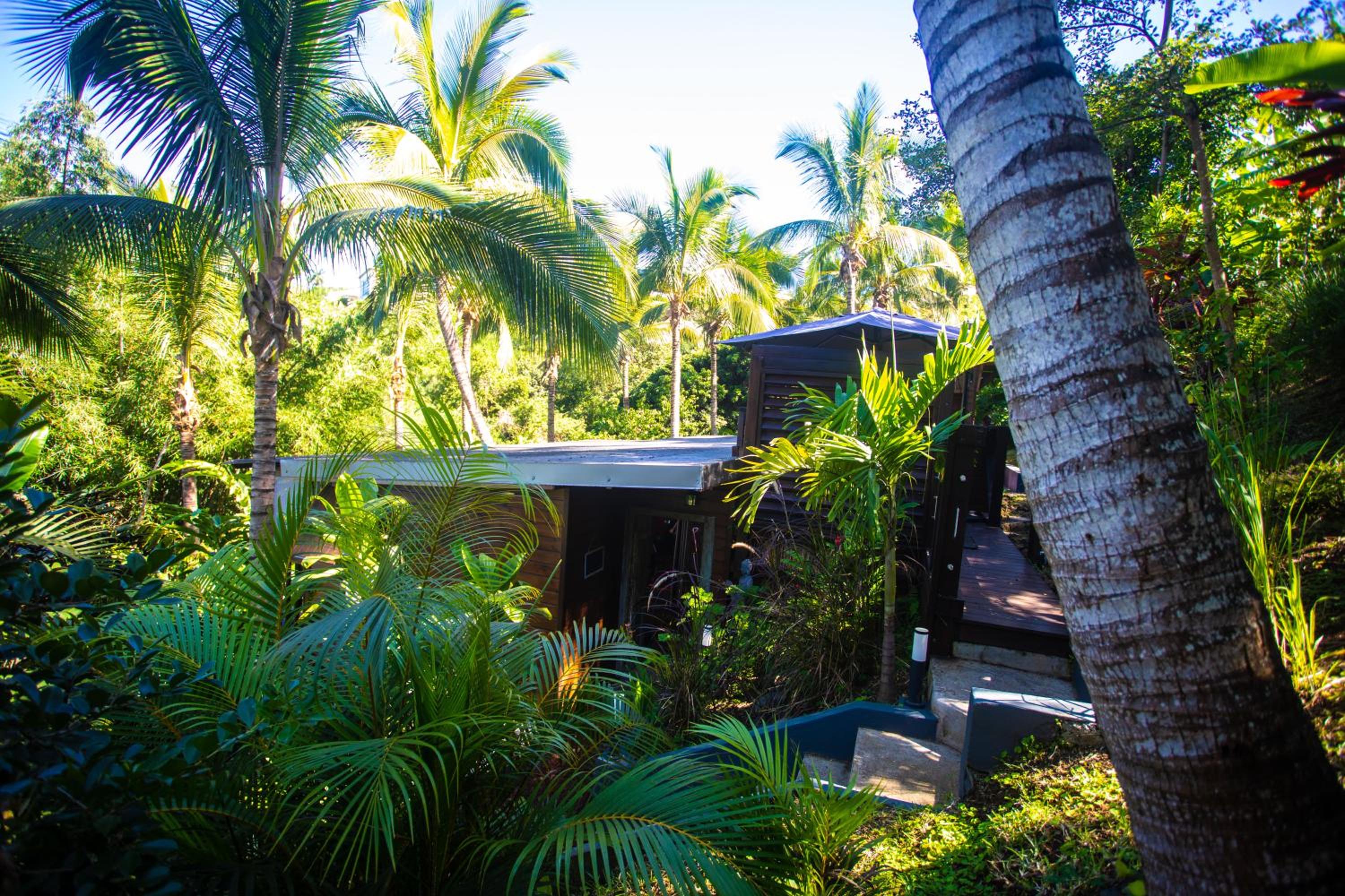 OHANA Jungle Lodges