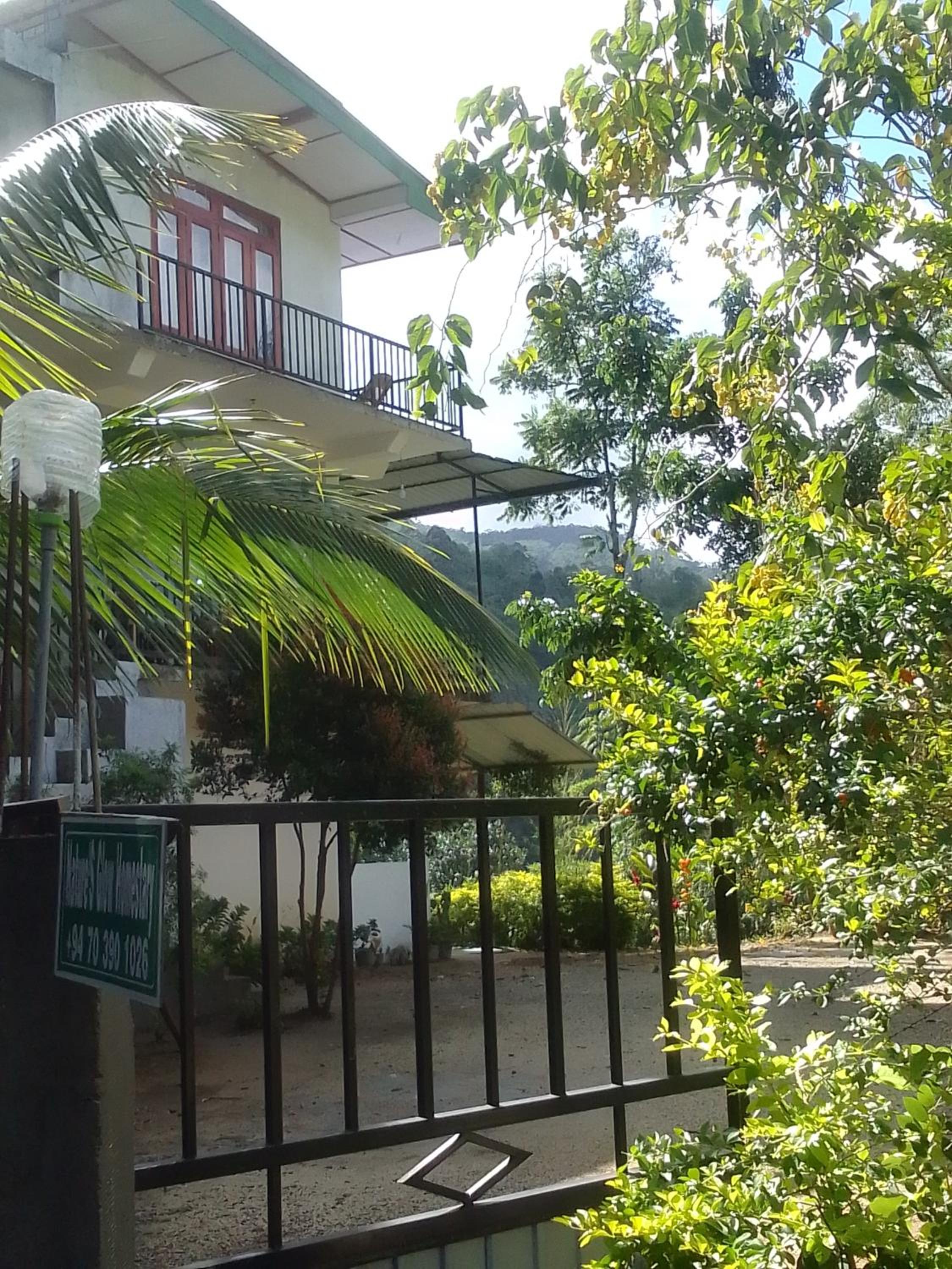 Nature's Glow Homestay view 5