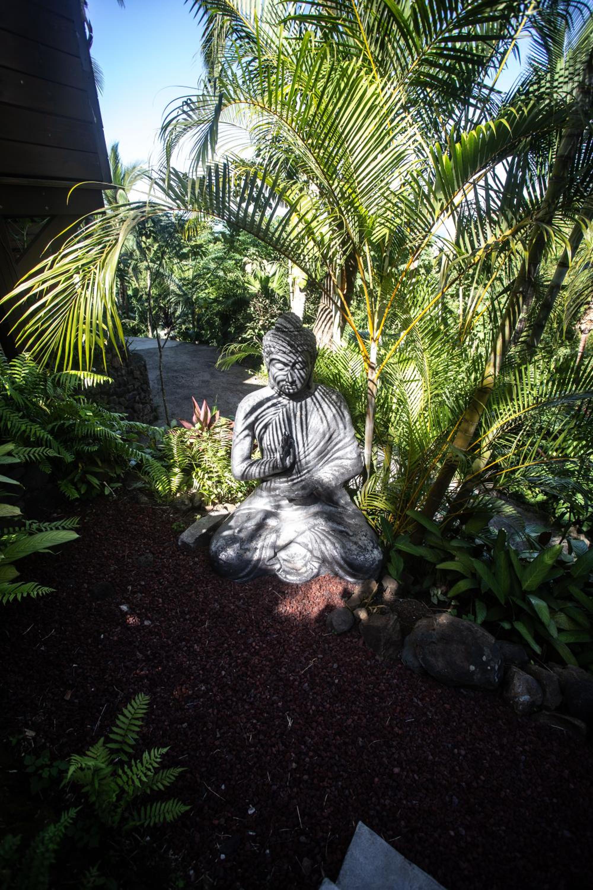 OHANA Jungle Lodges