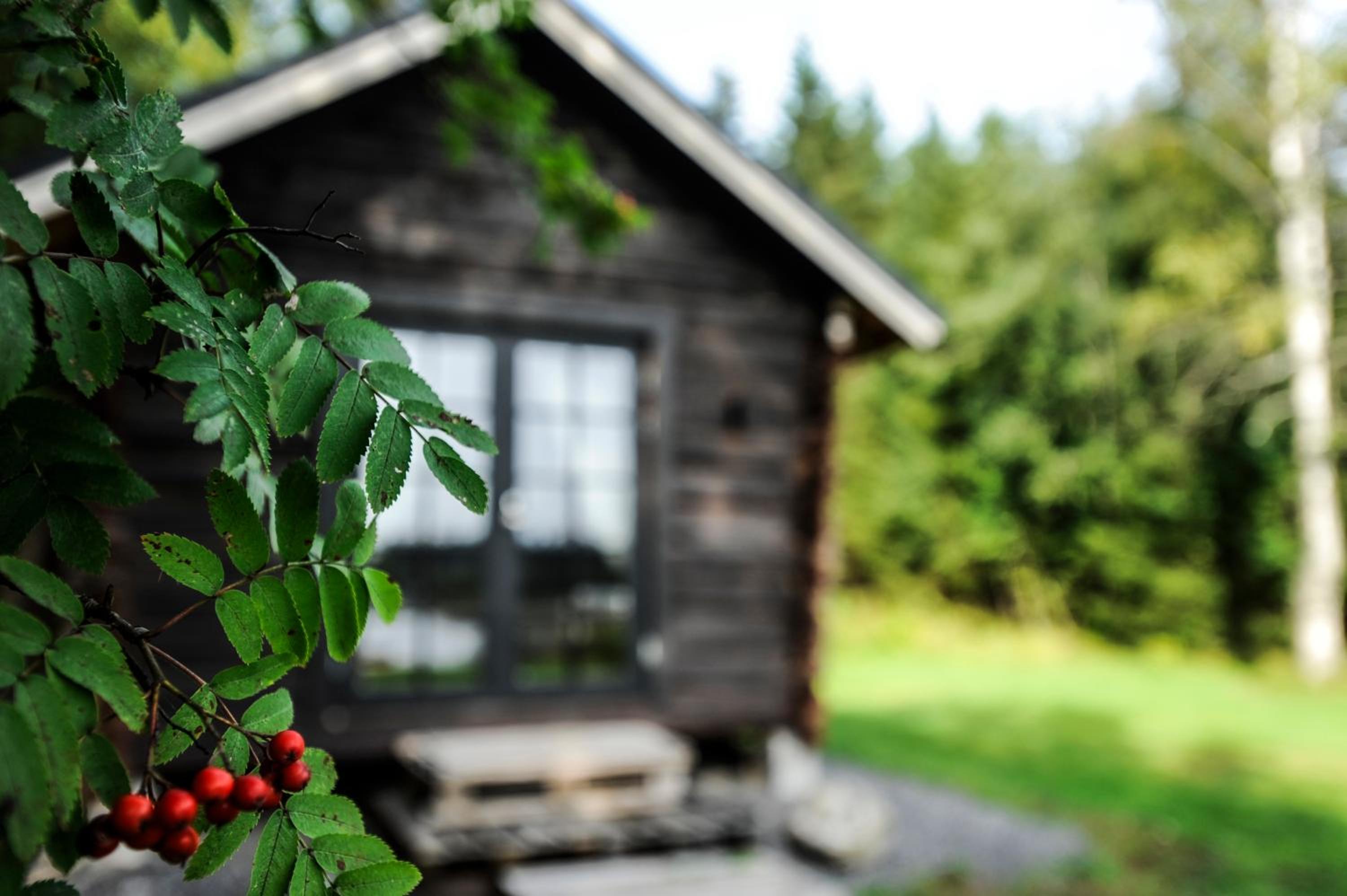 Villa Aurinkoranta Mökki merenrannalla!