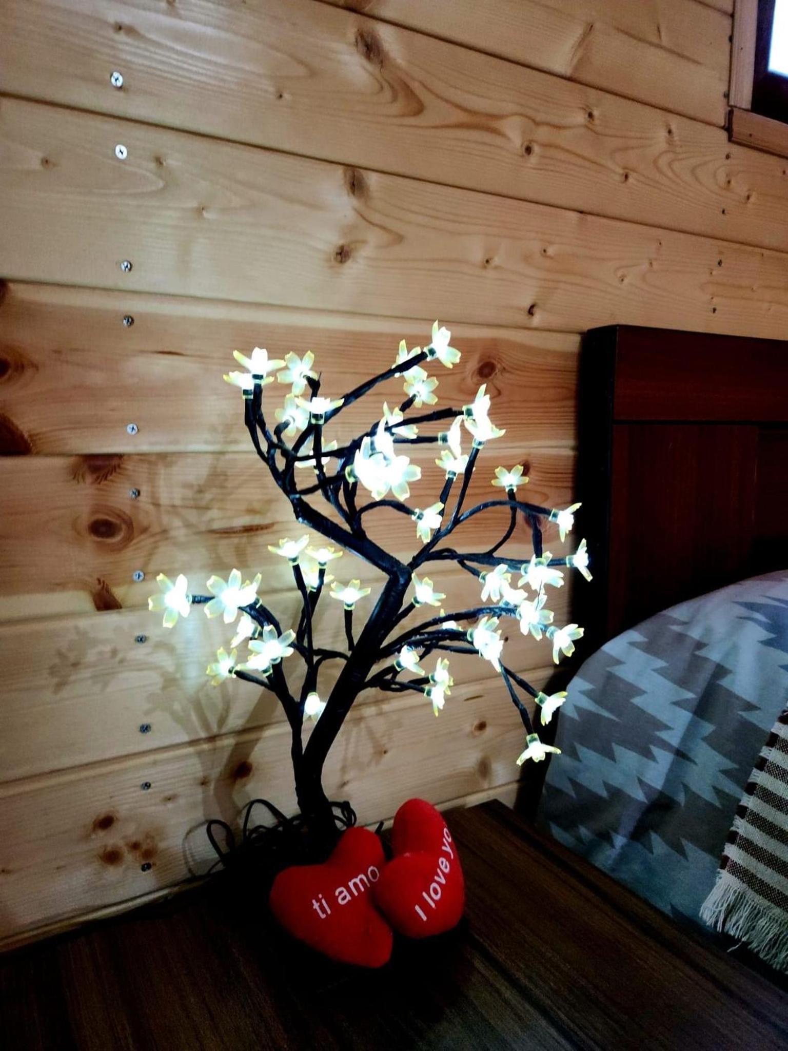 Mountain Cottage - Ananuri