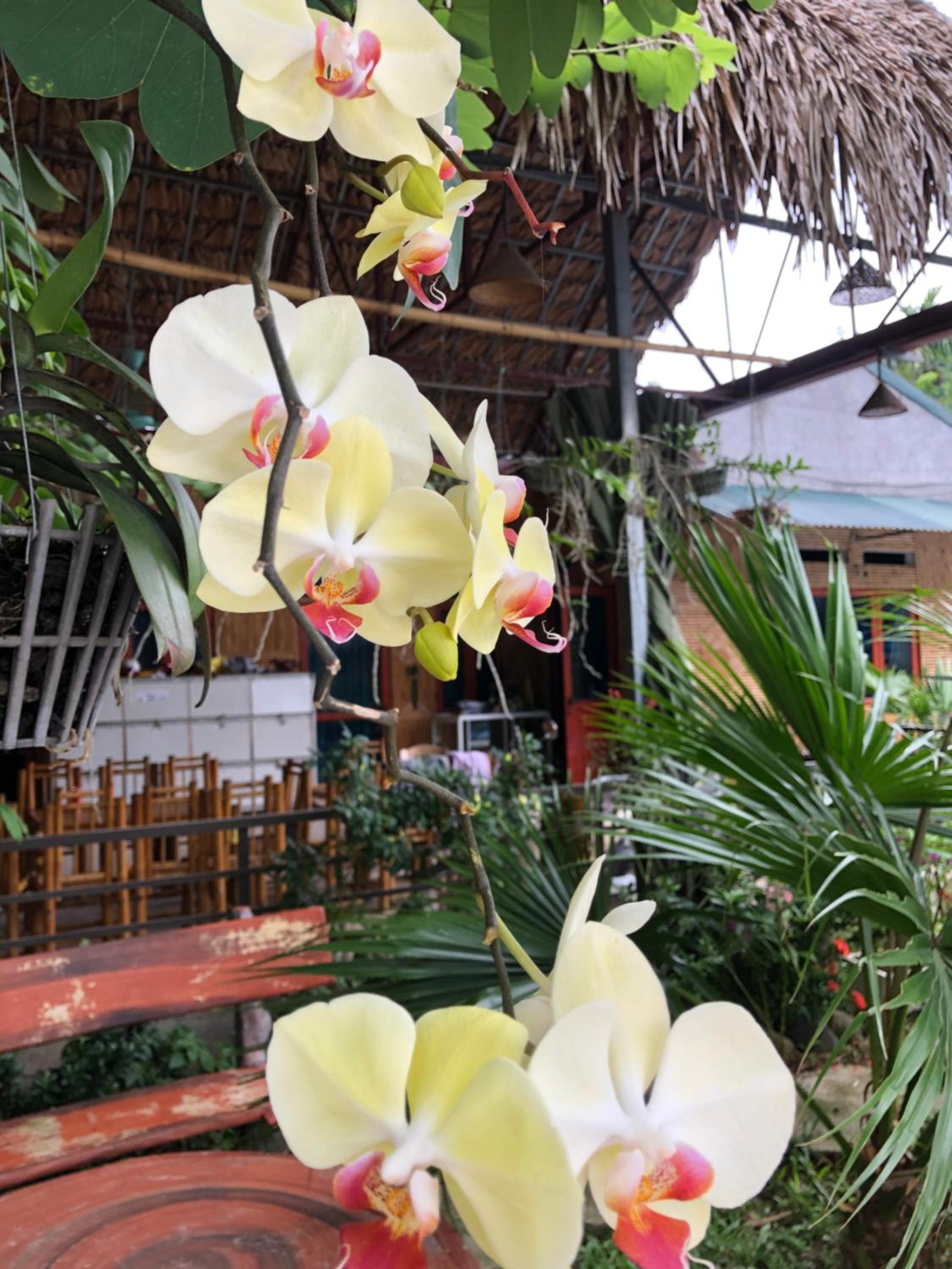 yentuyen homestay
