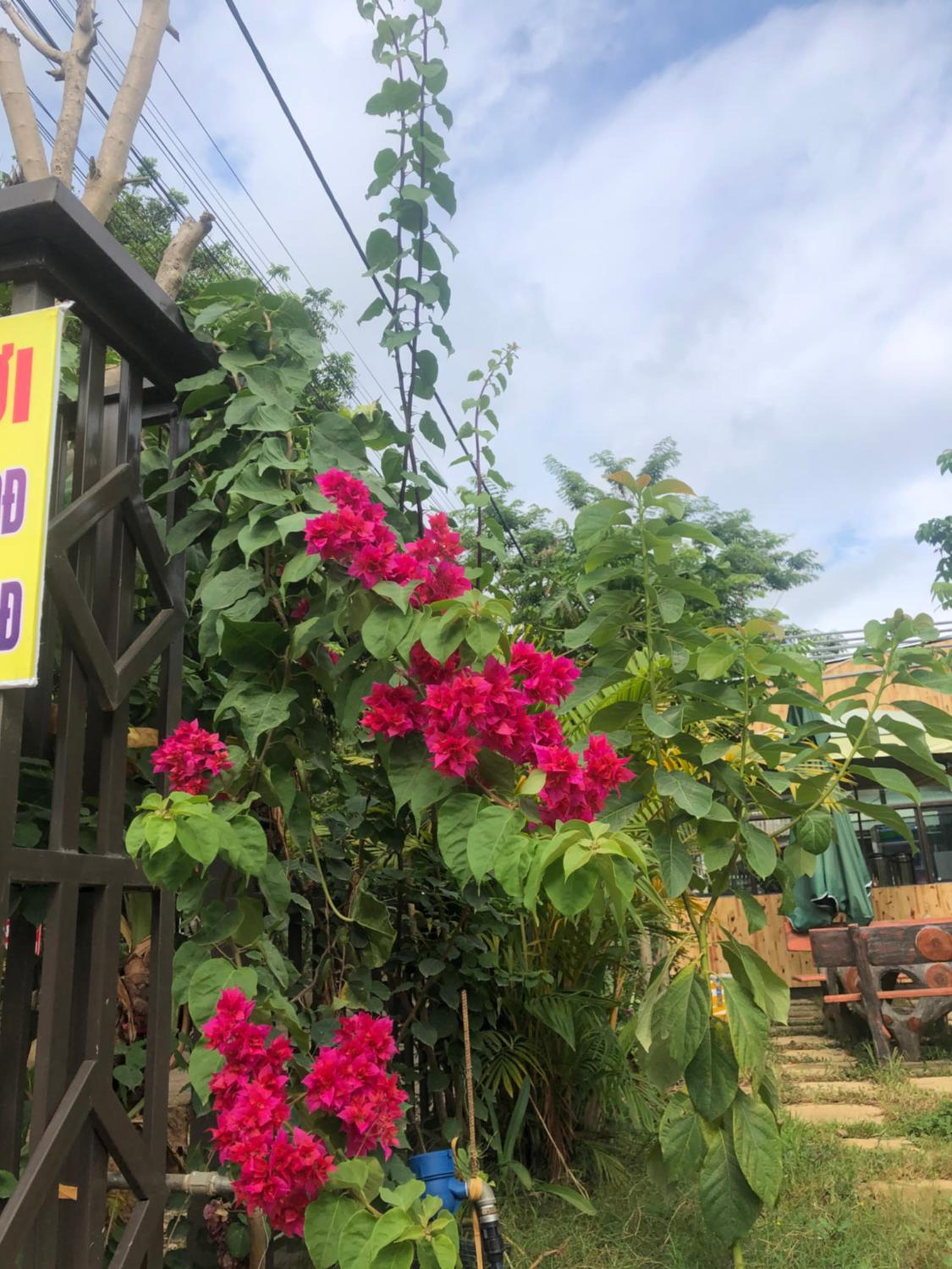 yentuyen homestay