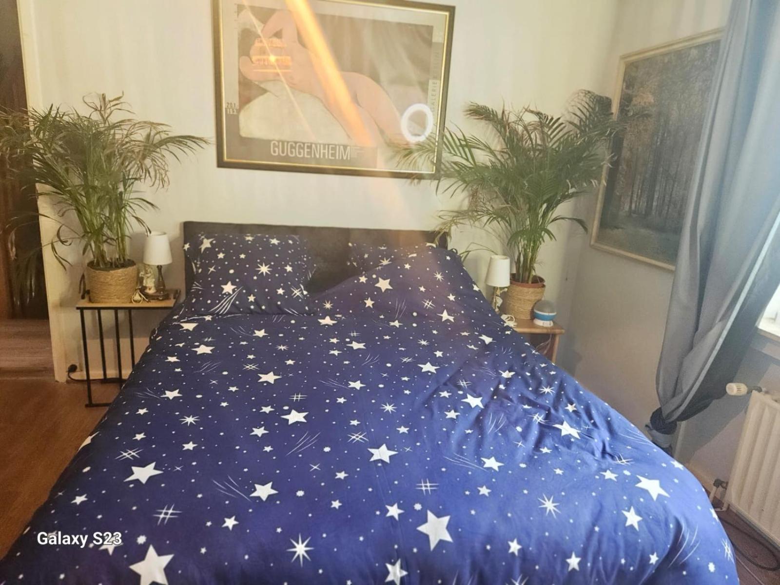Serenity Big Room