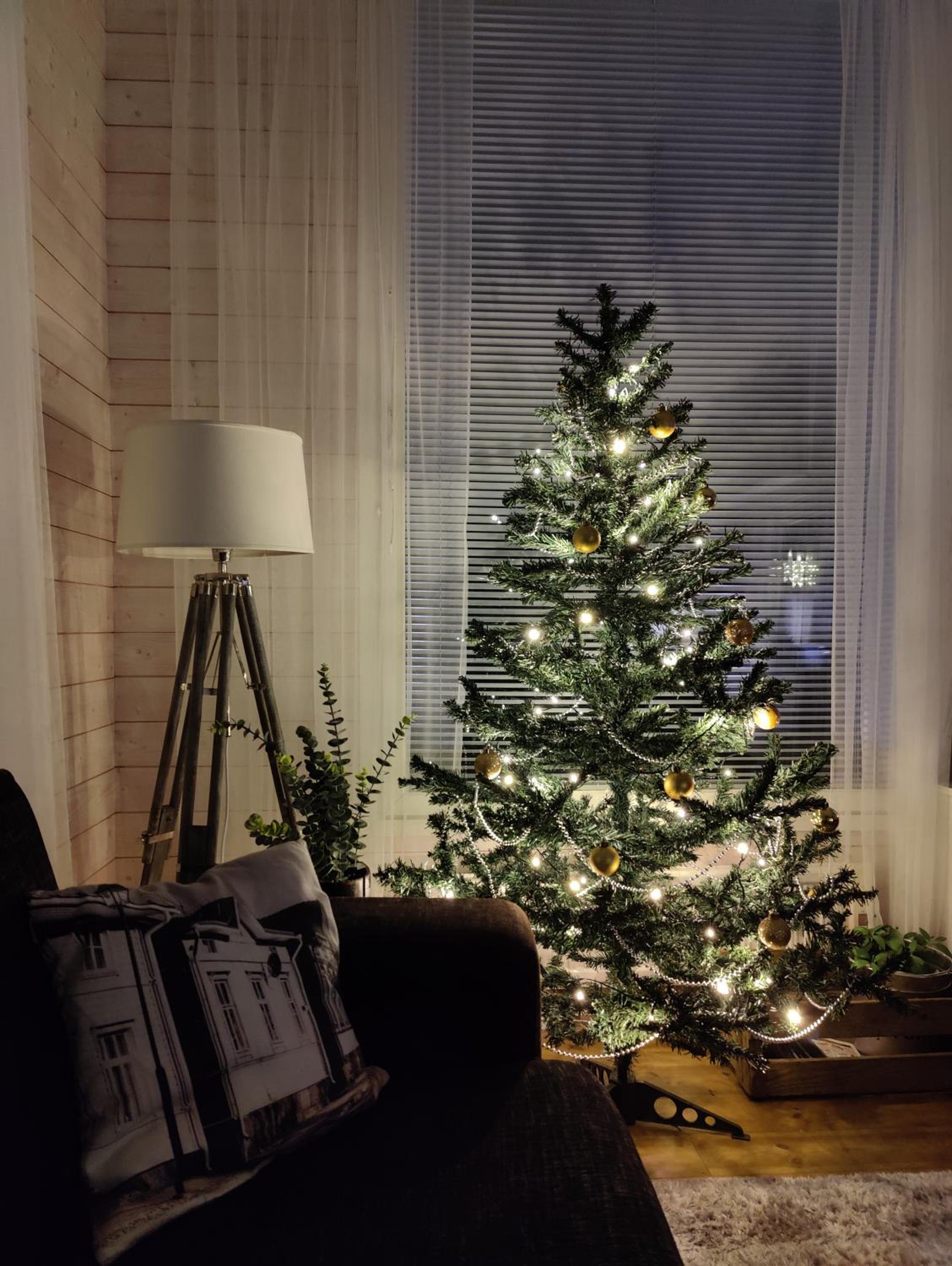 Villa Aurinkoranta Mökki merenrannalla!