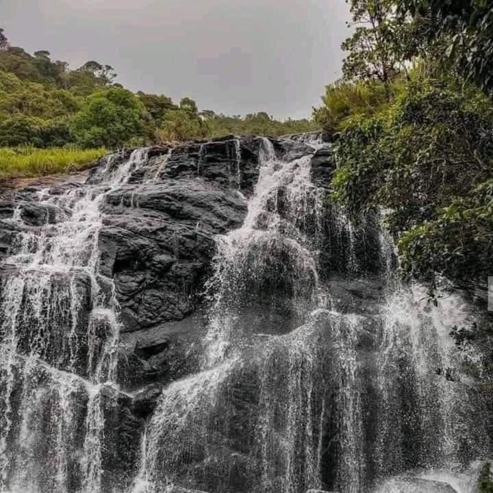 Ohiya View Resort view 3