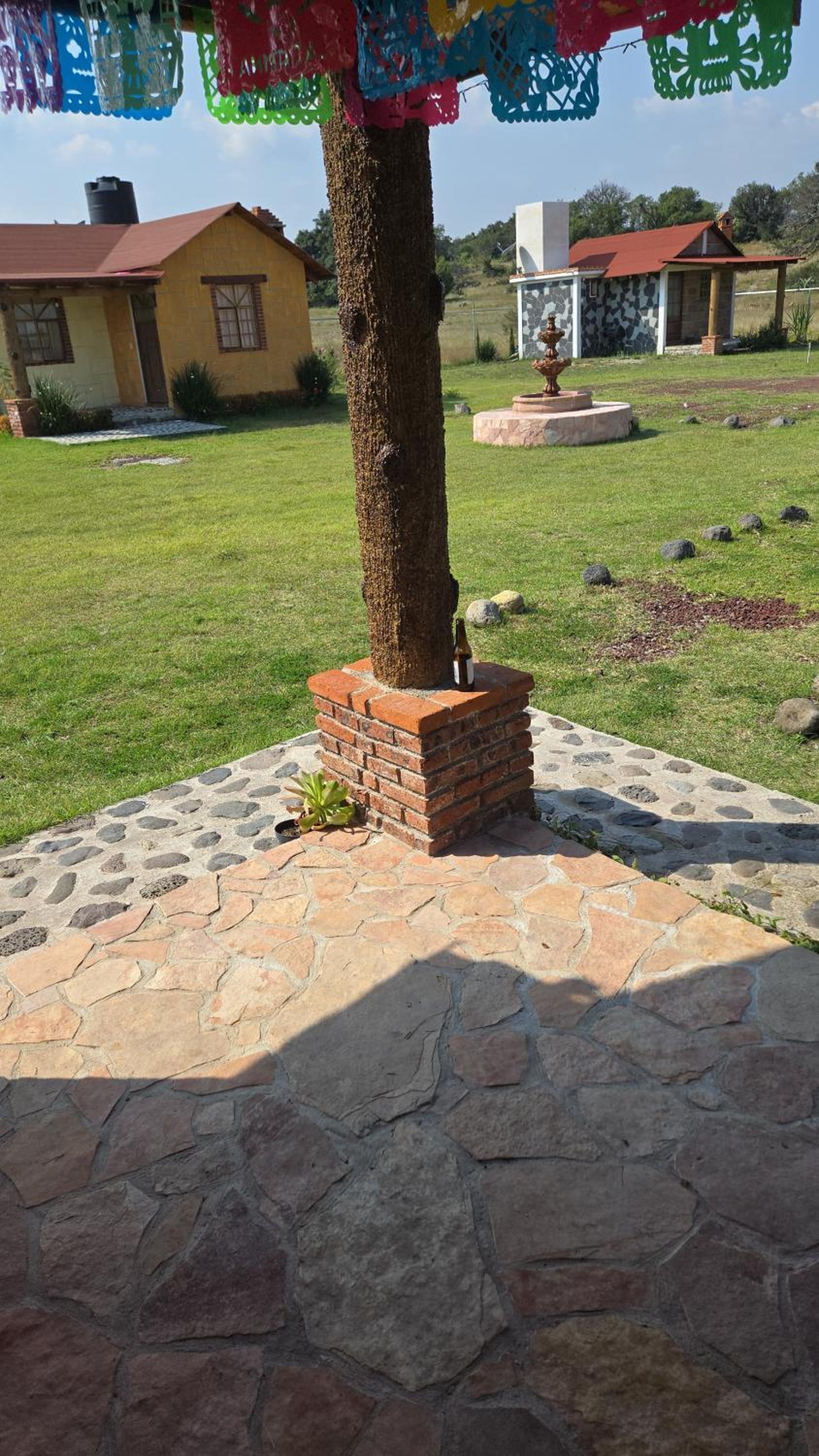 Photo 32
