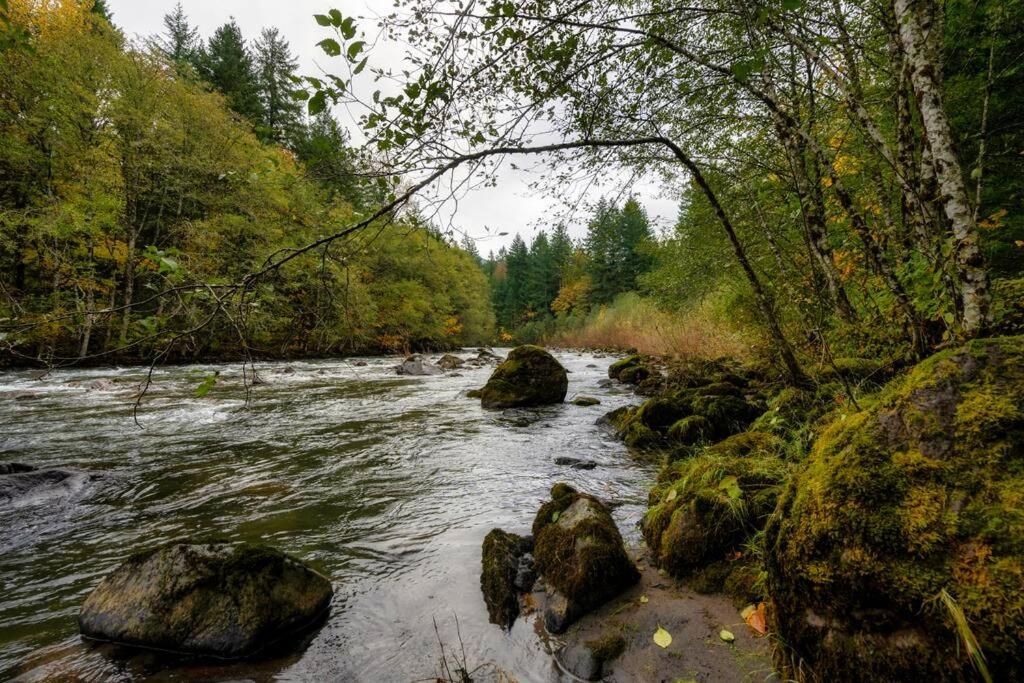 Sandy Riverfront Mt Hood Cabin! 9 Queen Beds! view 2