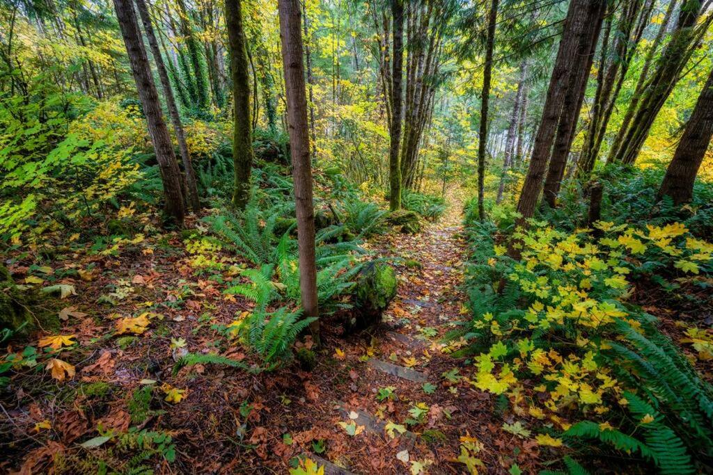 Sandy Riverfront Mt Hood Cabin! 9 Queen Beds! view 5