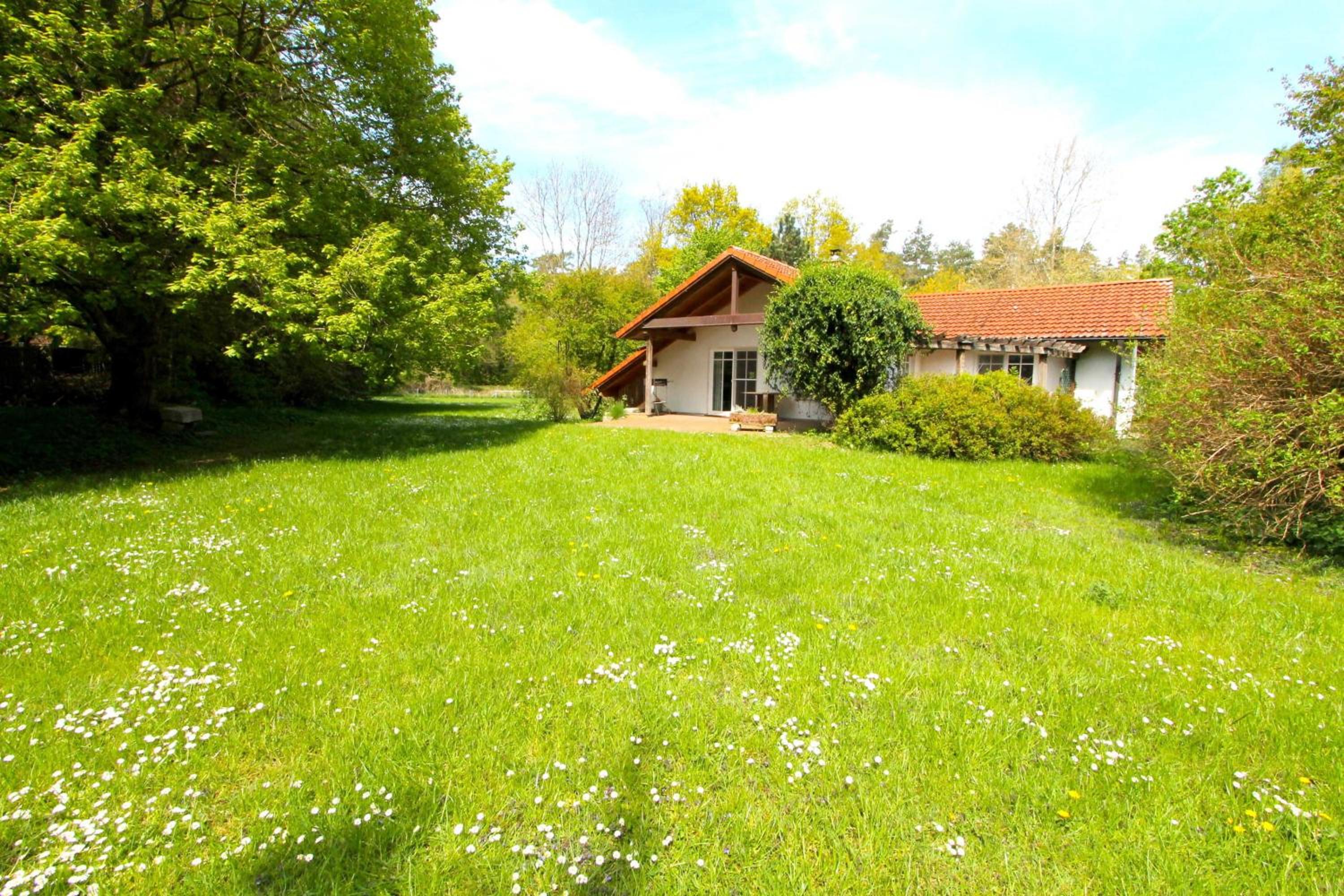Haus am Wald Nr 2 idyllisch ruhig im Naturschutzgebiet view 3
