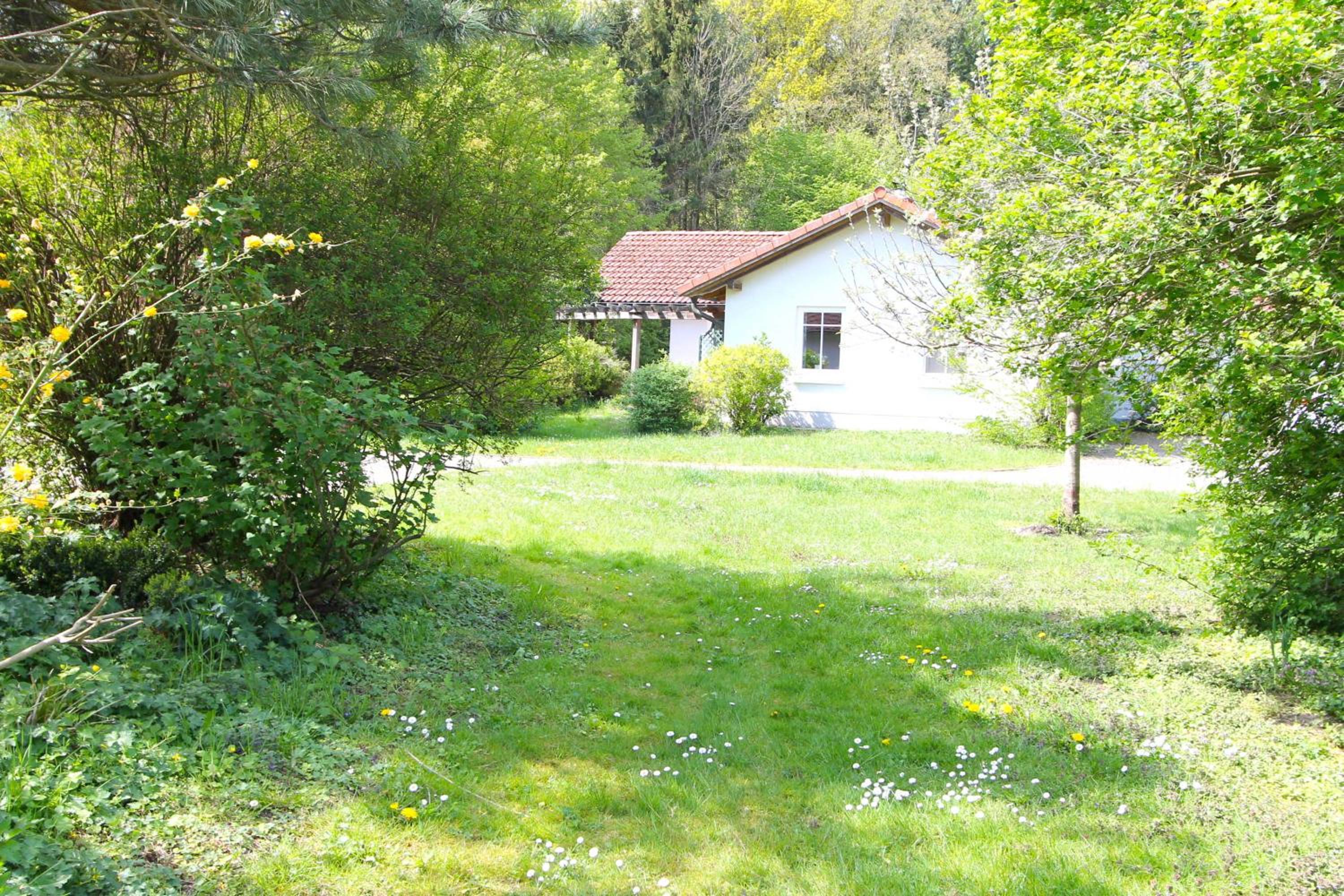 Photo 30