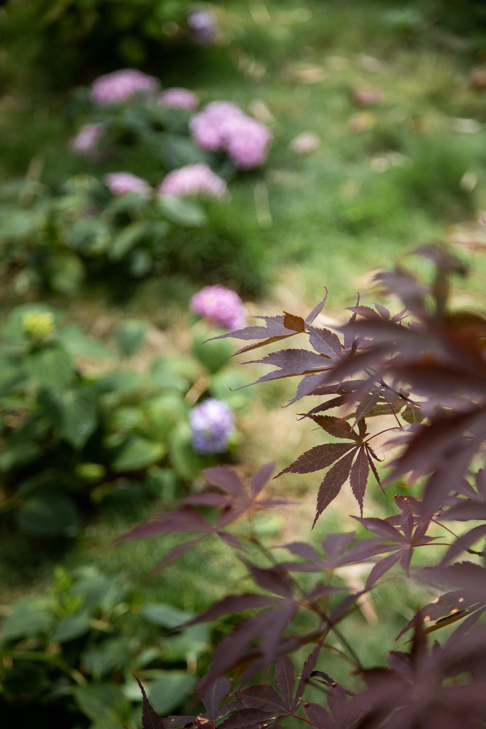 Vretreats Garden Coffee