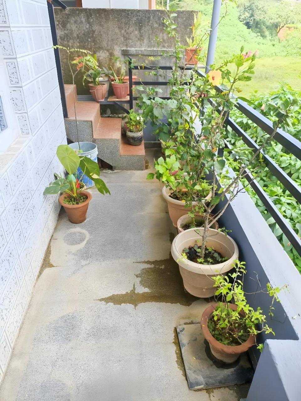 Misty Homes Homestay