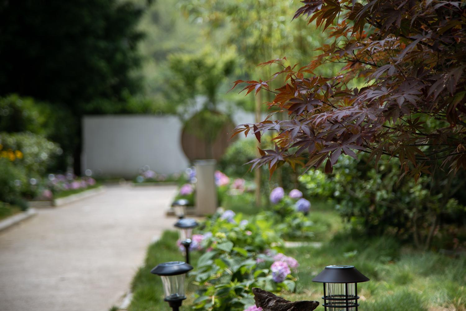 Vretreats Garden Coffee