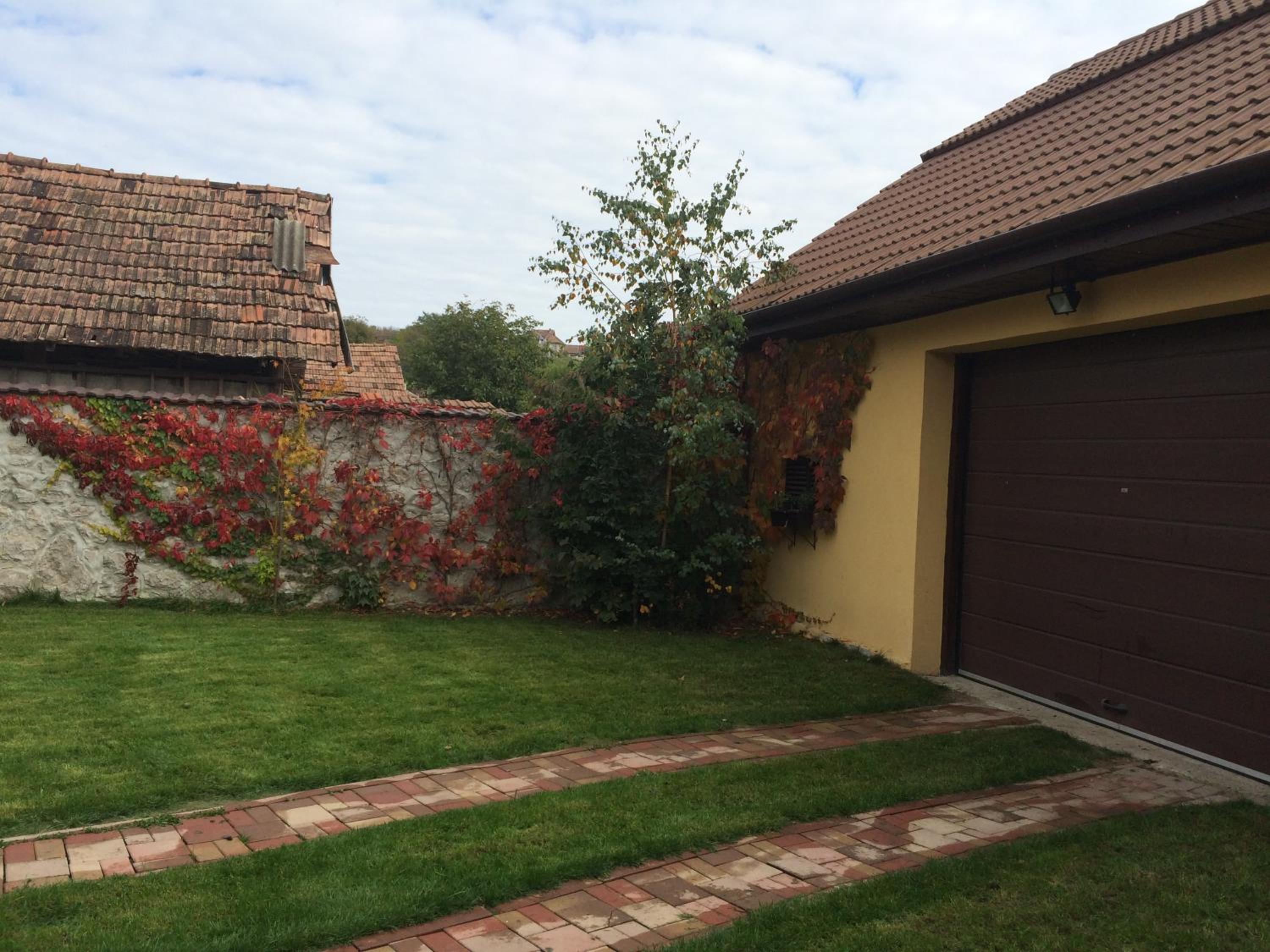 Photo 44