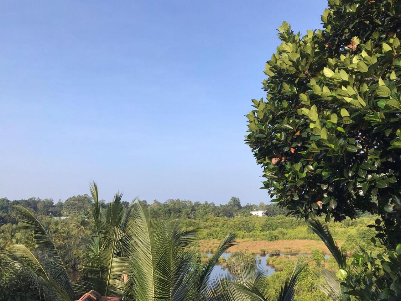 Eco Terrace Homestay