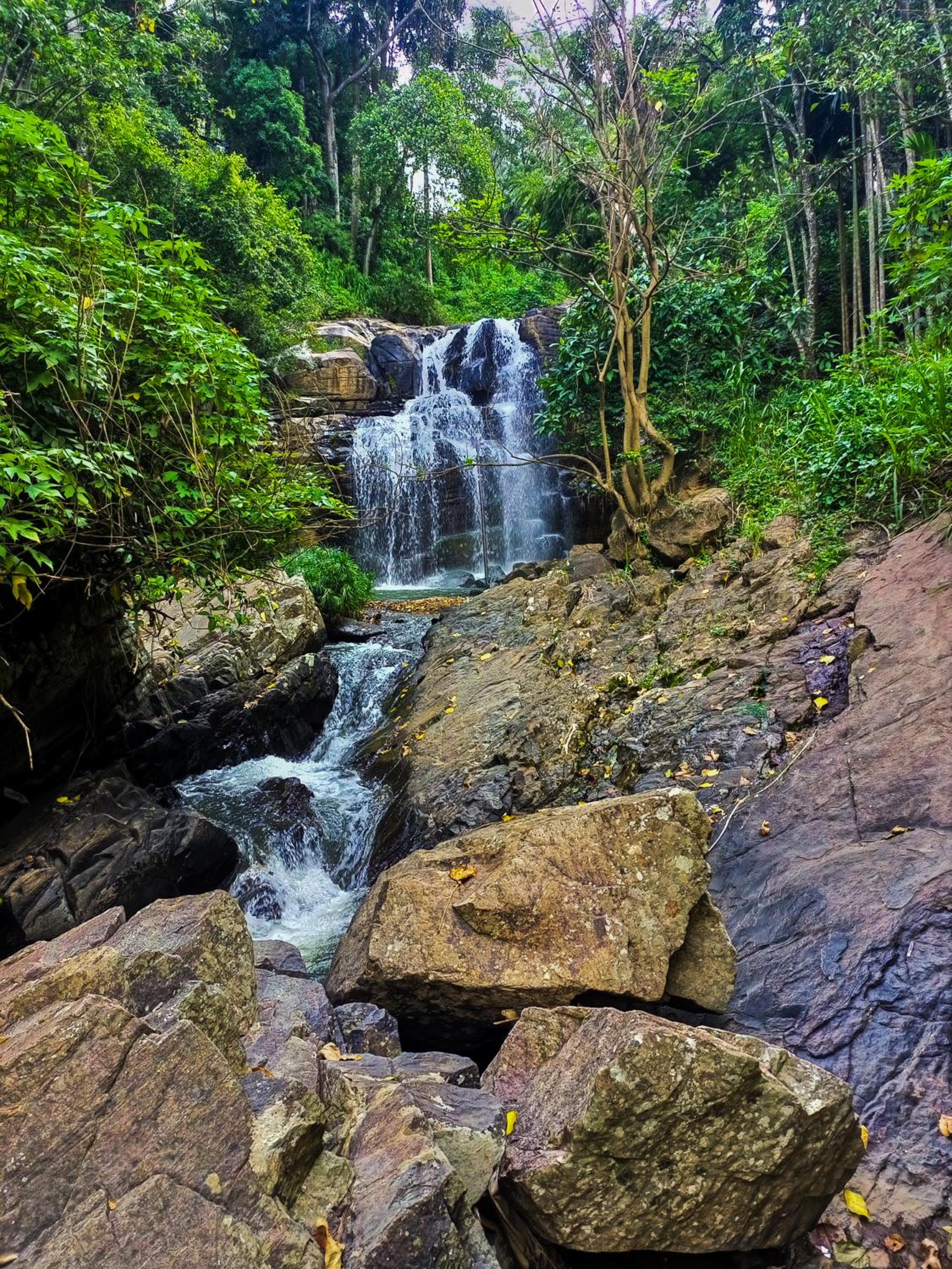 Creek Downhills
