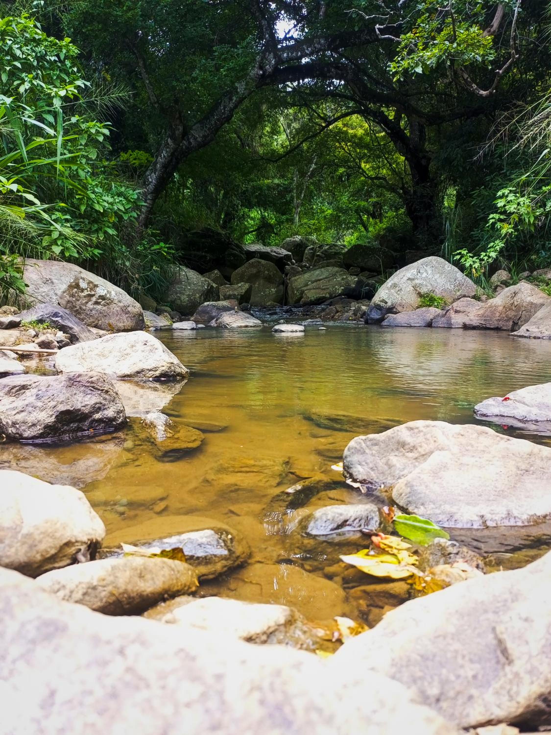 Creek Downhills