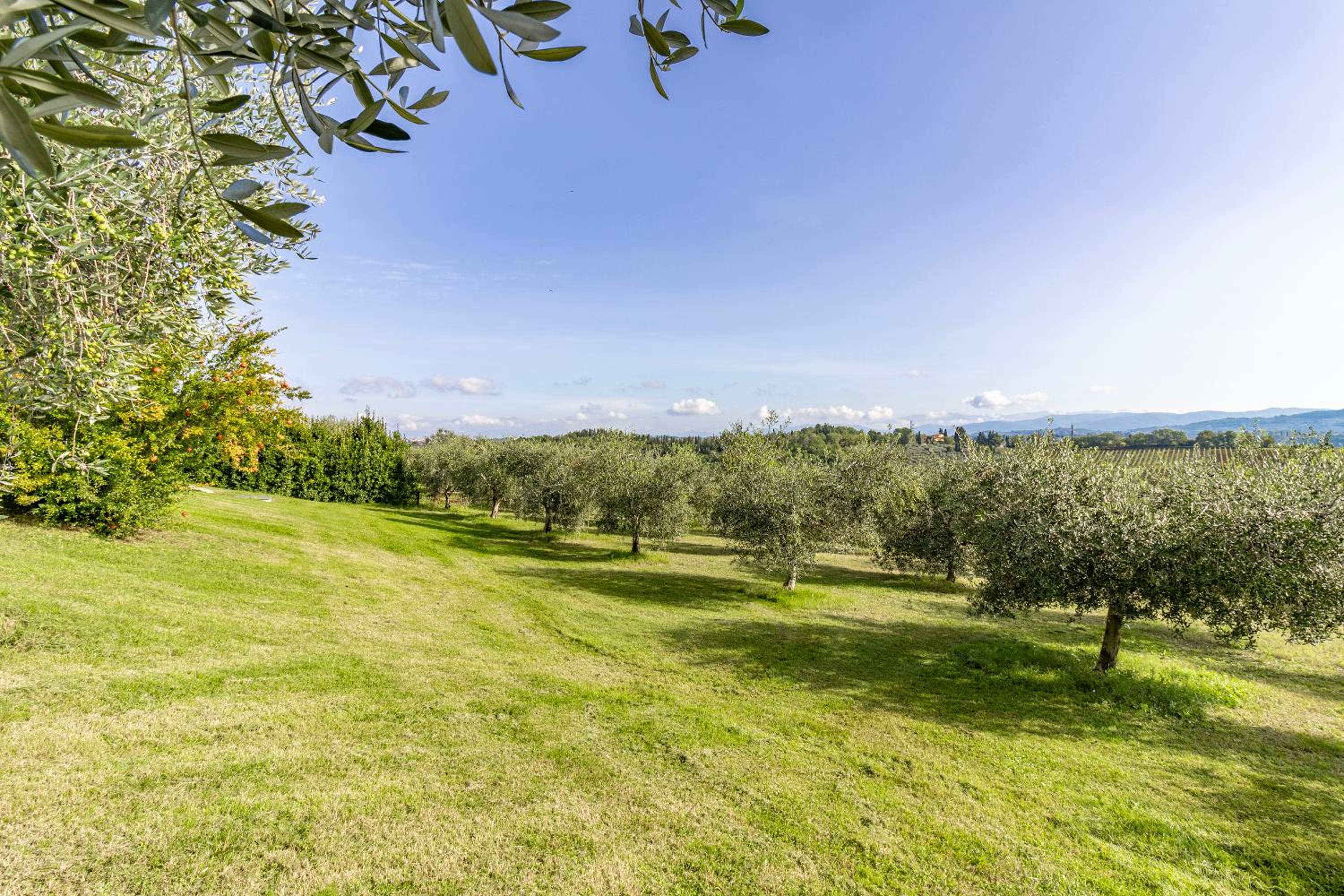 Villa Salivolpe Amazing Chianti View view 2