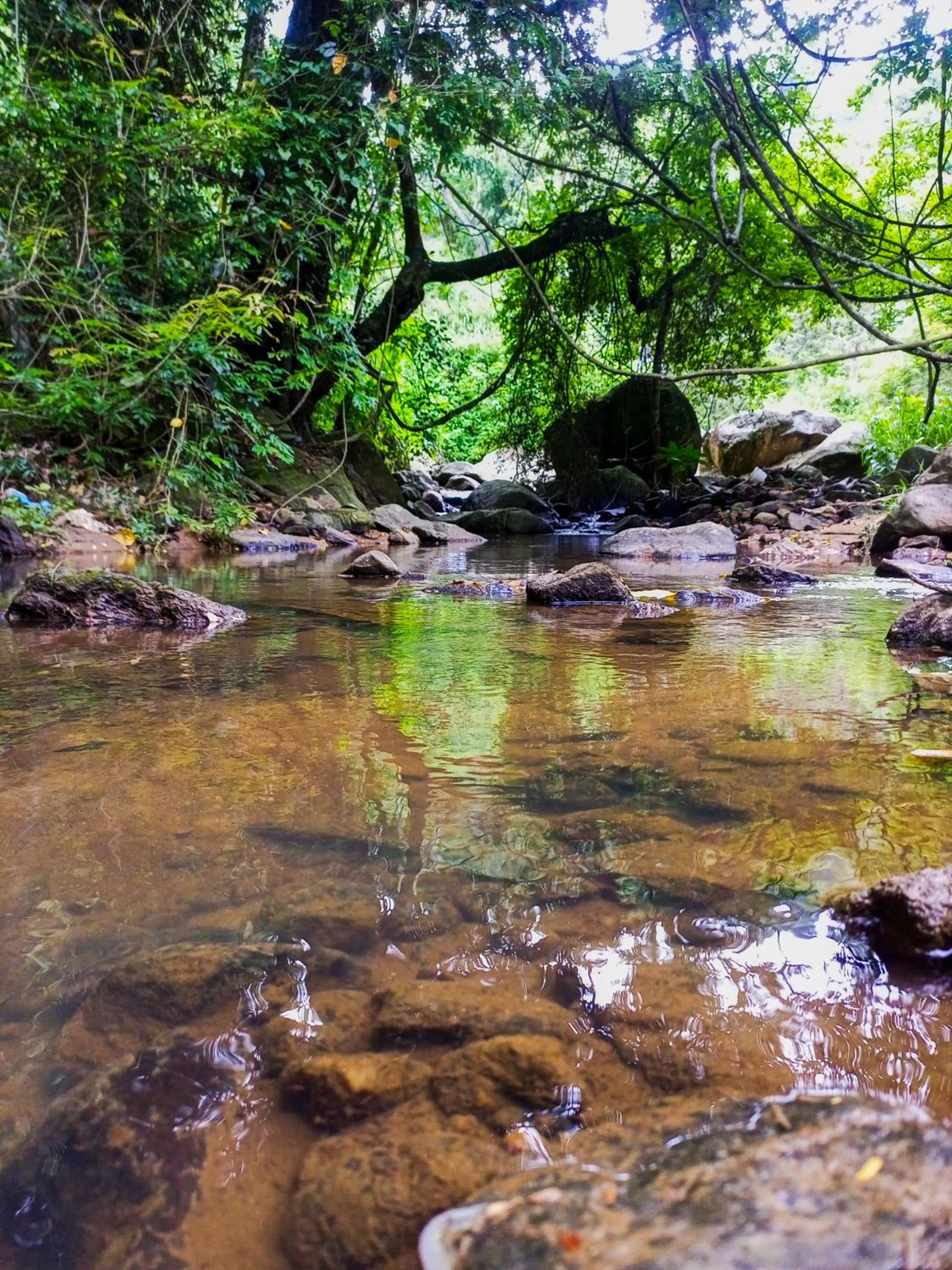 Creek Downhills