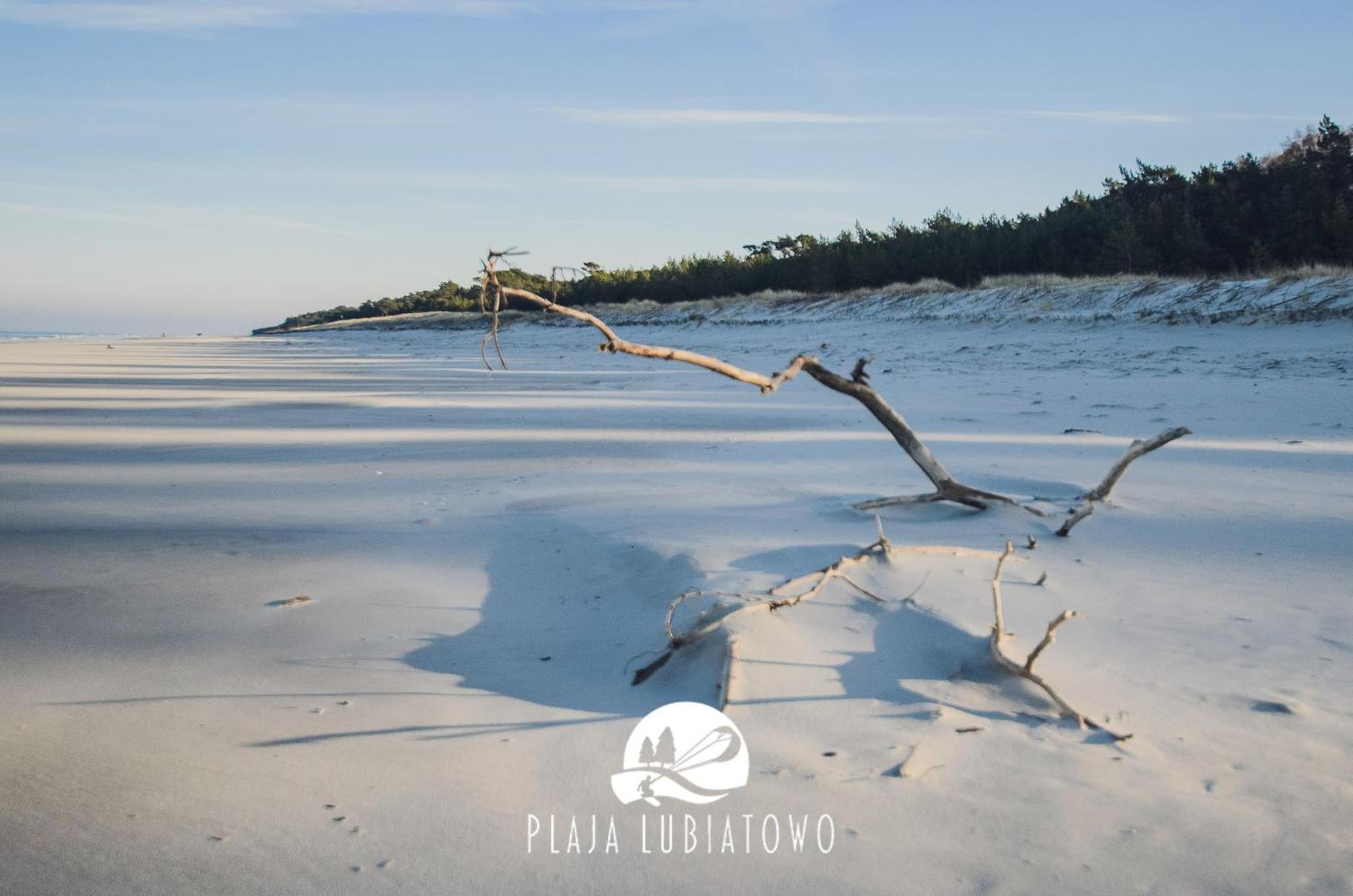 Domy Plaja Lubiatowo
