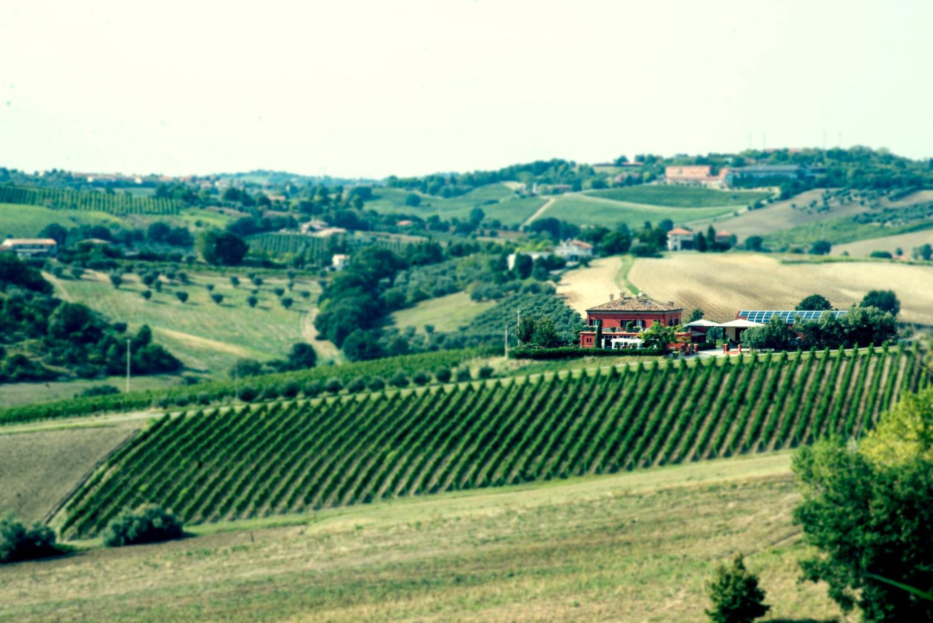 Tenuta Santini