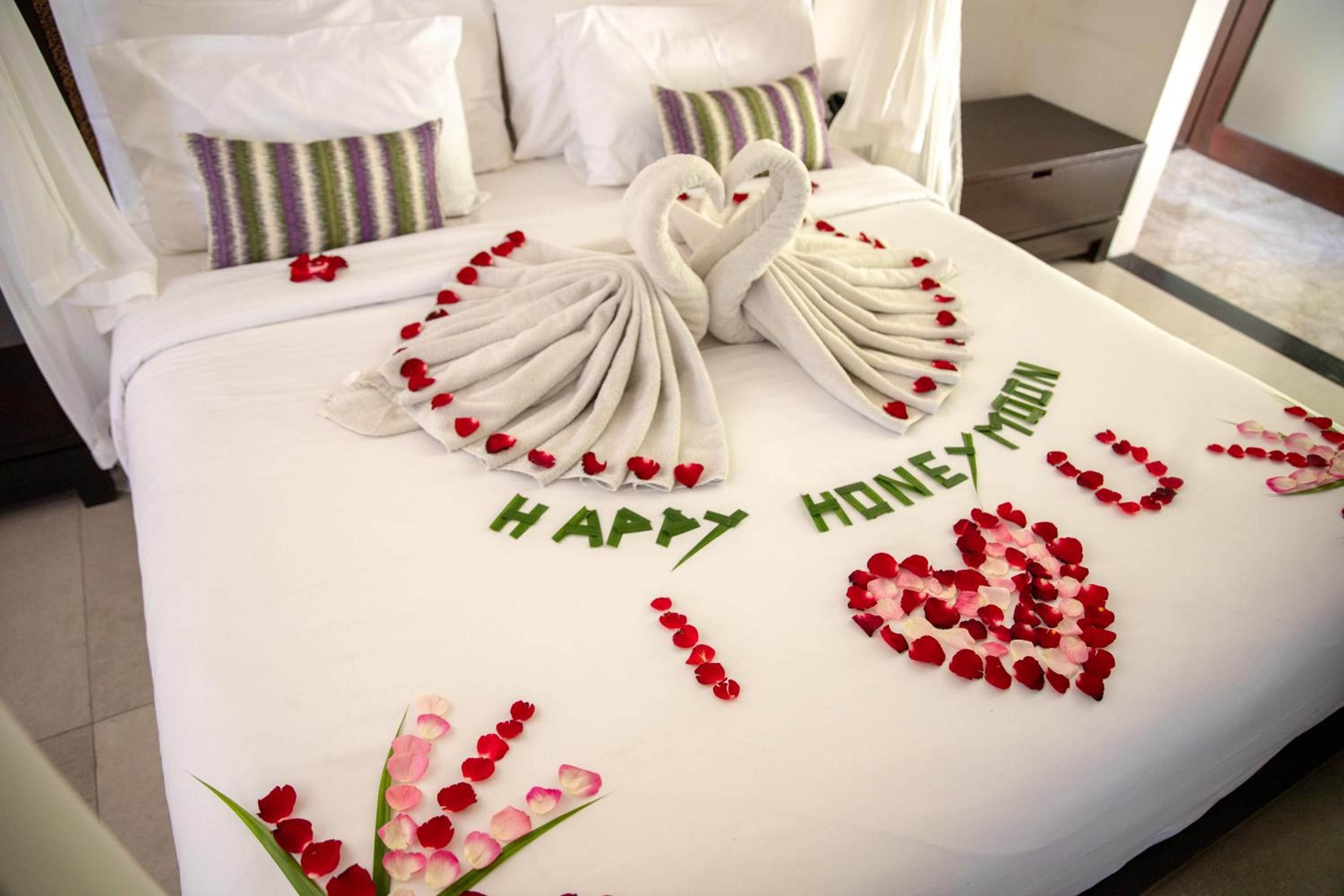 The Amala Boutique Retreat