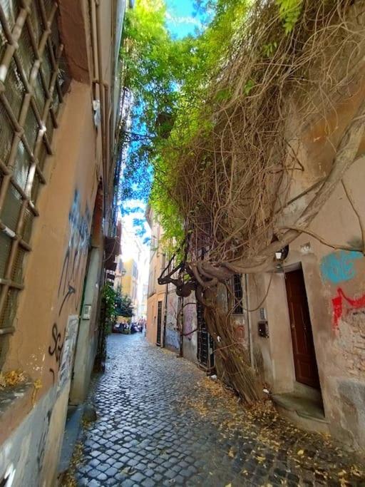 Angolo dè Trastevere - Accogliente e silenzioso
