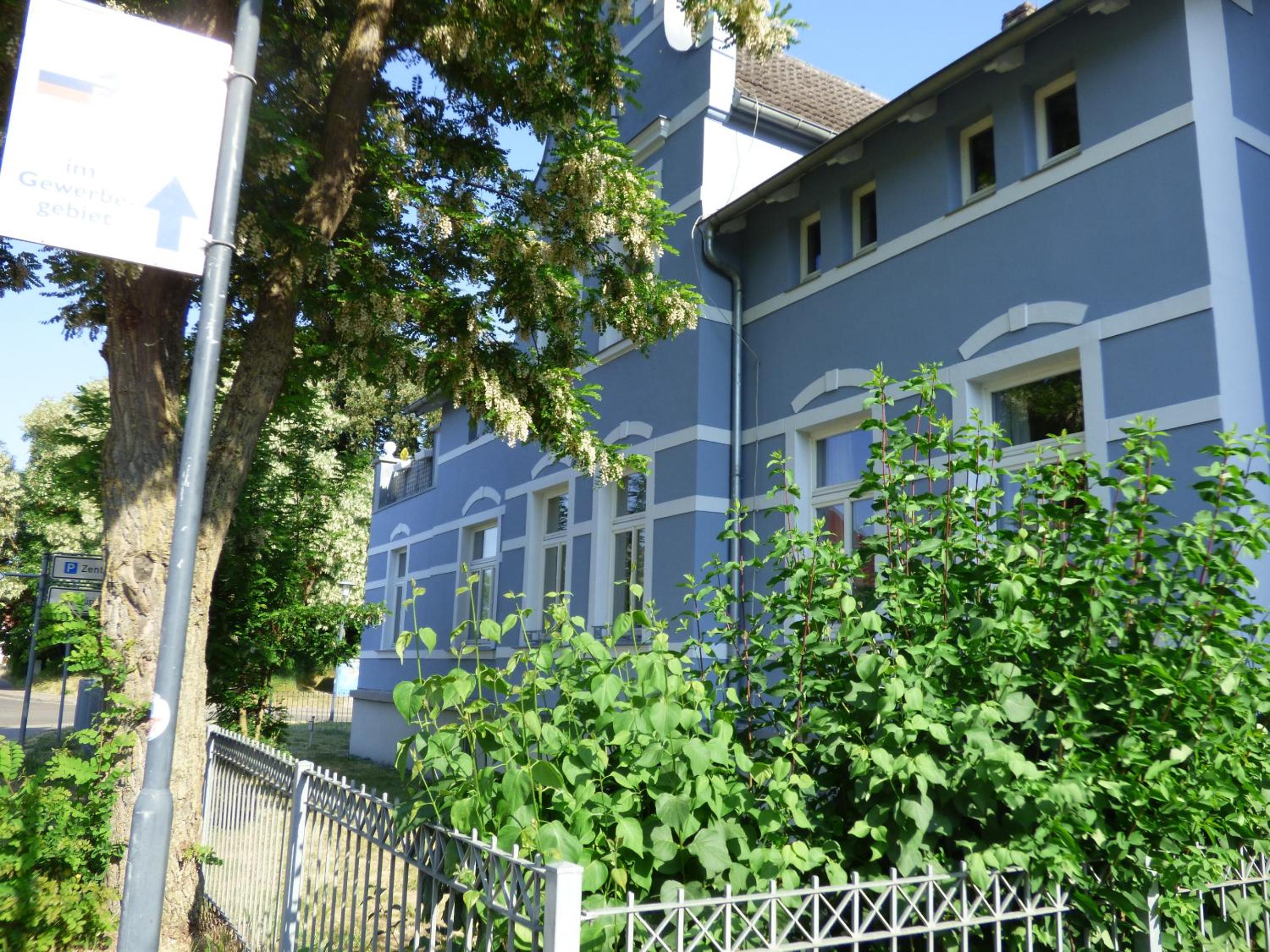 Photo 11