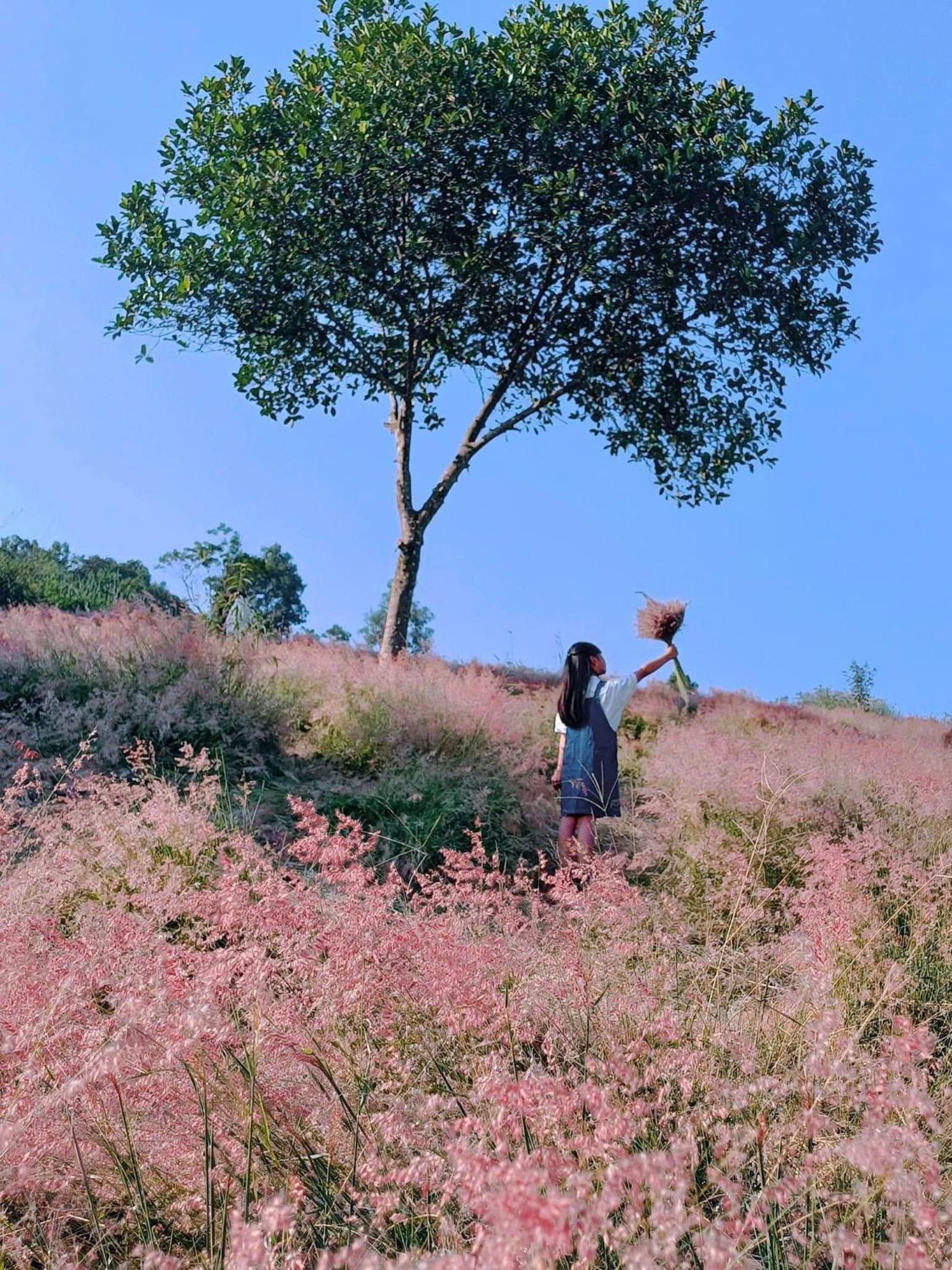 AIEM Moc Chau