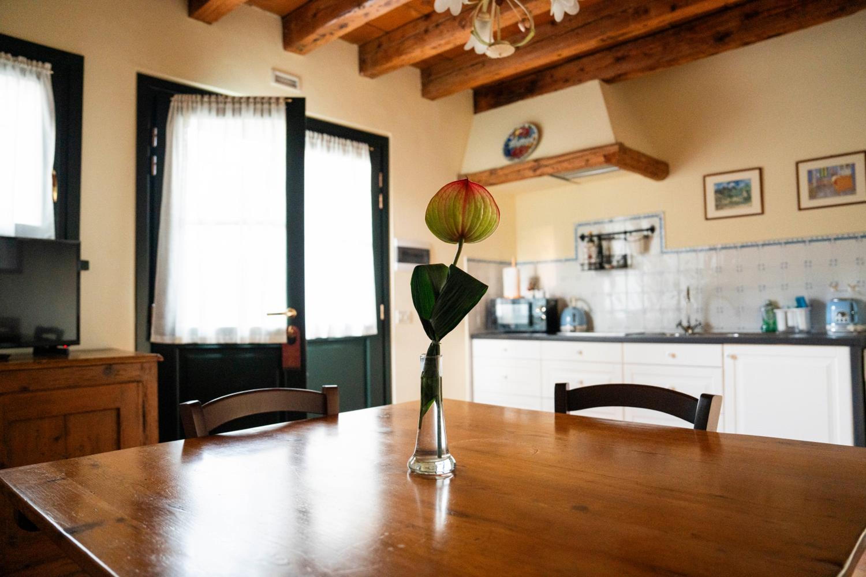 Agriturismo Albafiorita
