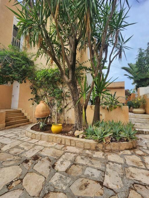 villa harmonie, photo 14
